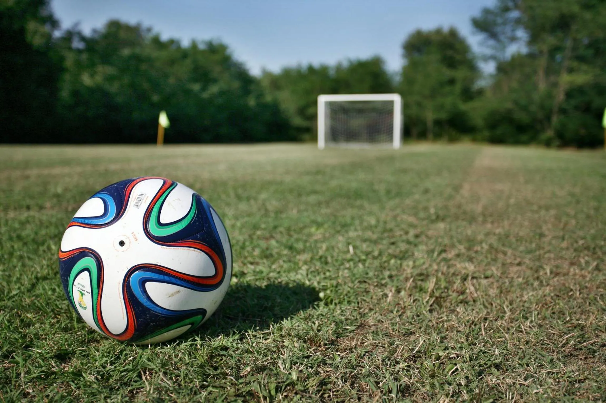 Garden in Villa Gourmet