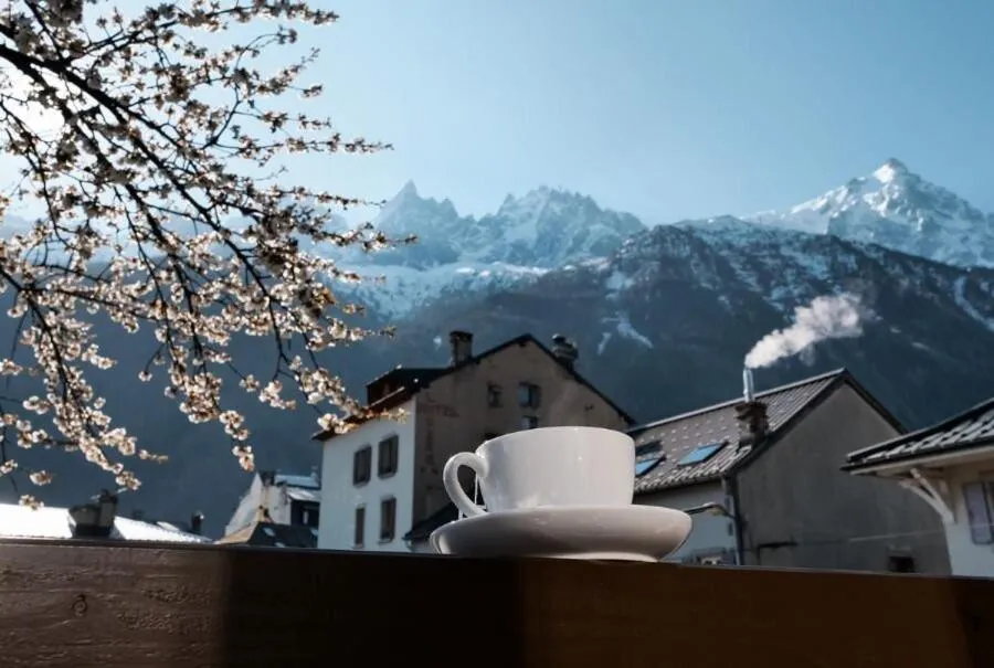 Natural landscape in Chalet hôtel le Whymper