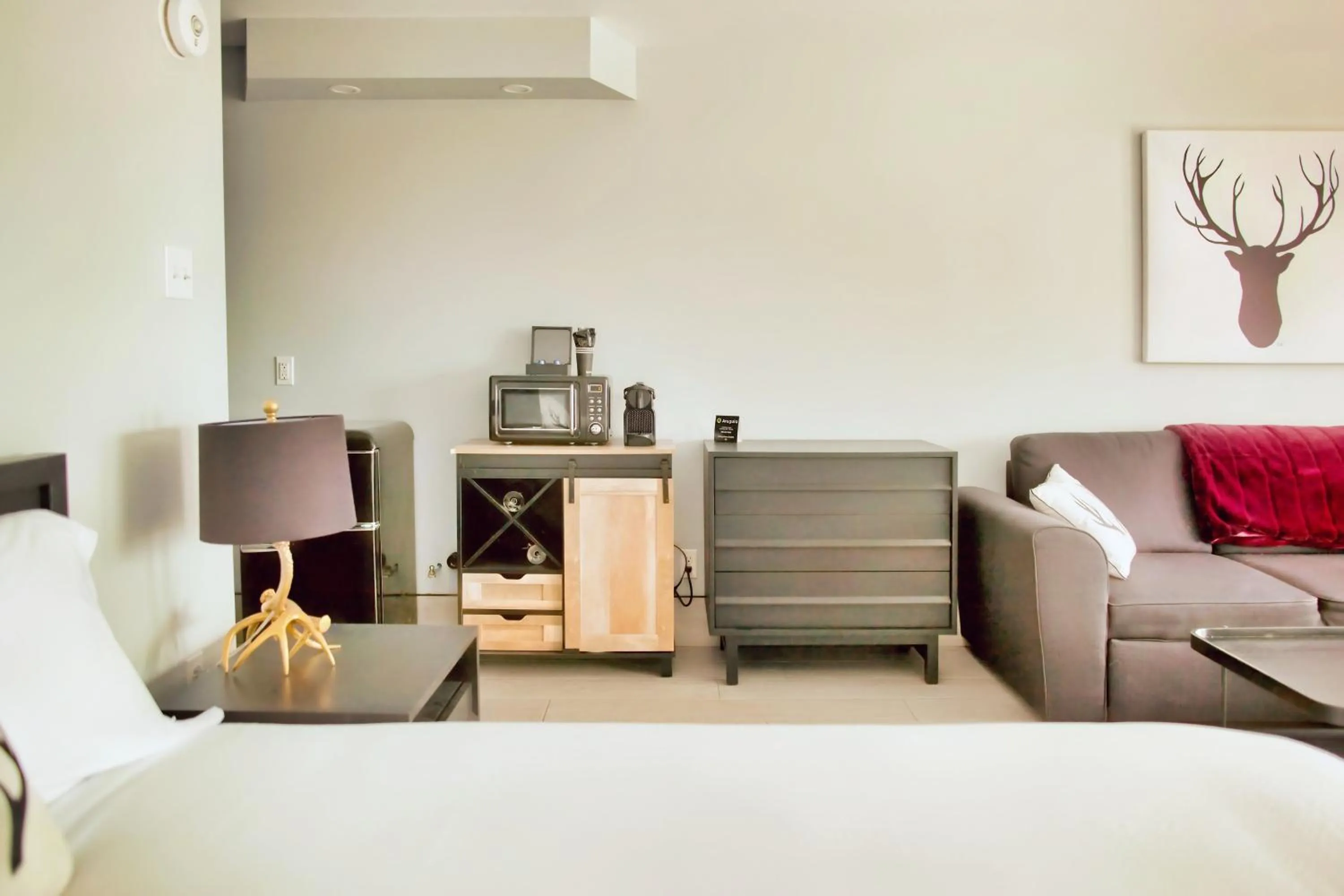 Photo of the whole room in Terrace Suites