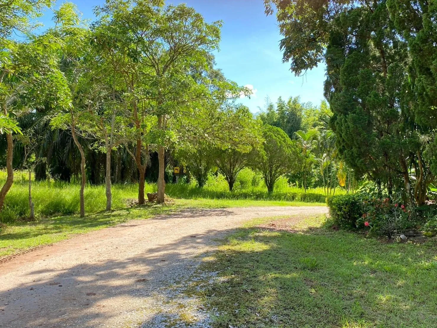 Garden view in Phuphamok Valley Resort