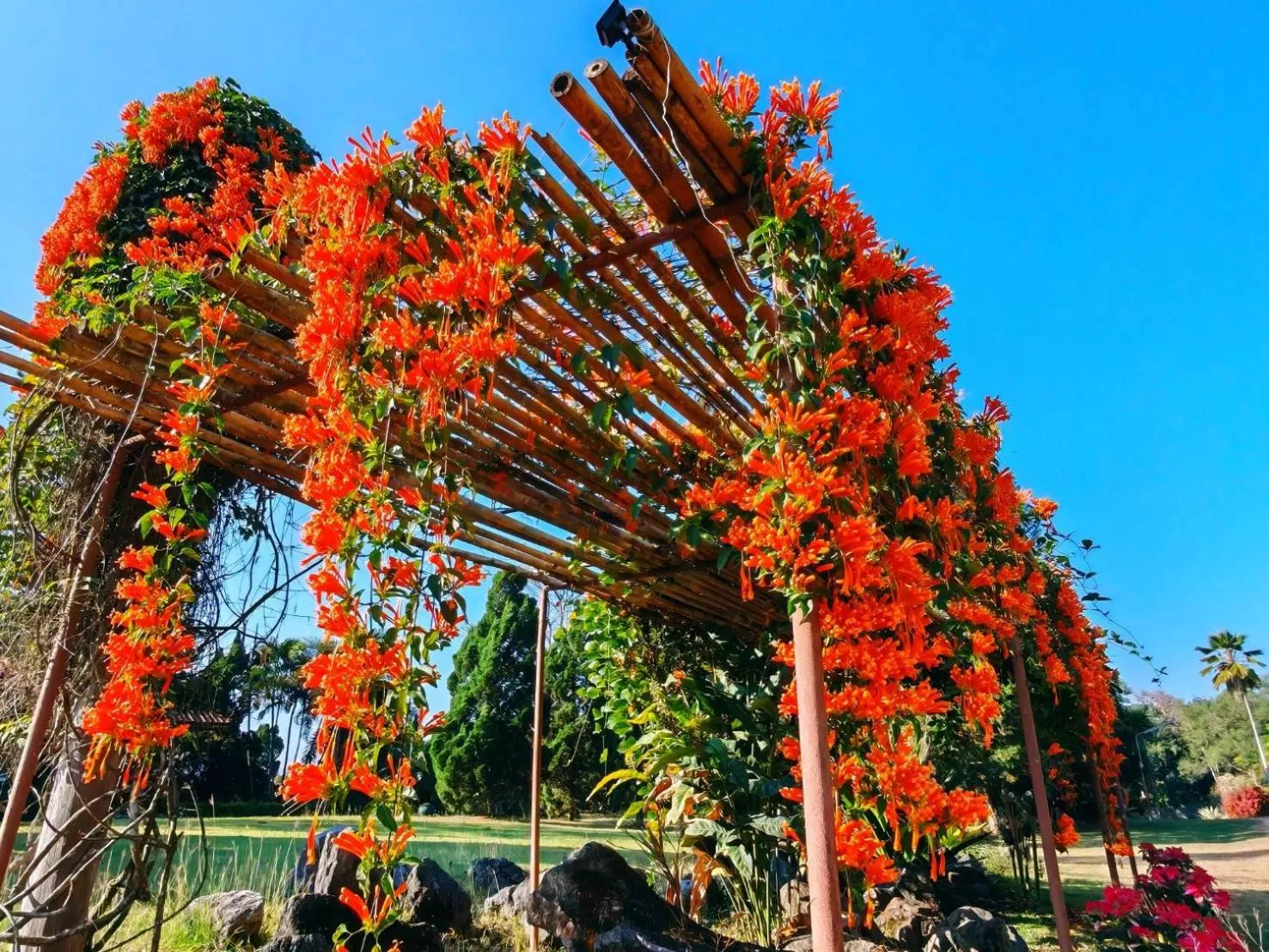 Phuphamok Valley Resort