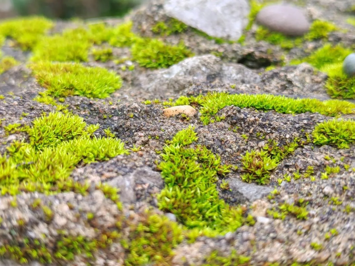 Phuphamok Valley Resort