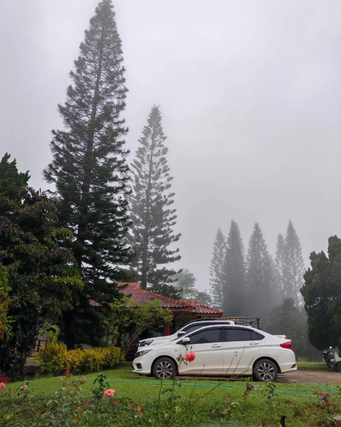 Phuphamok Valley Resort