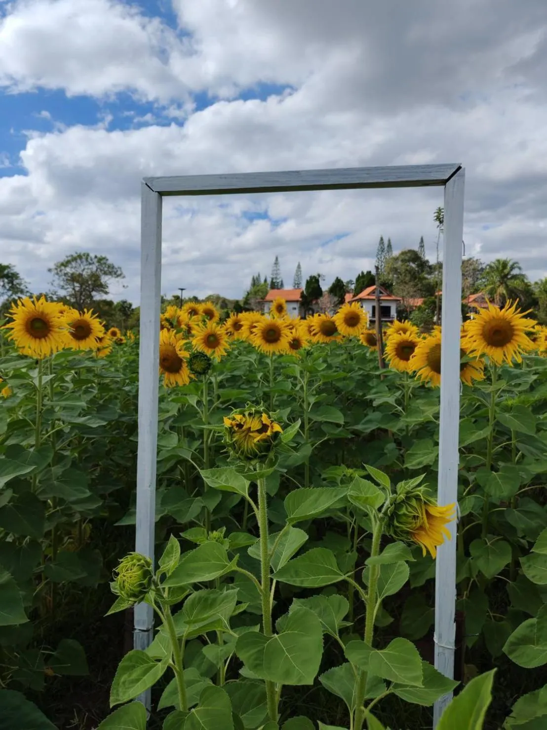 Phuphamok Valley Resort