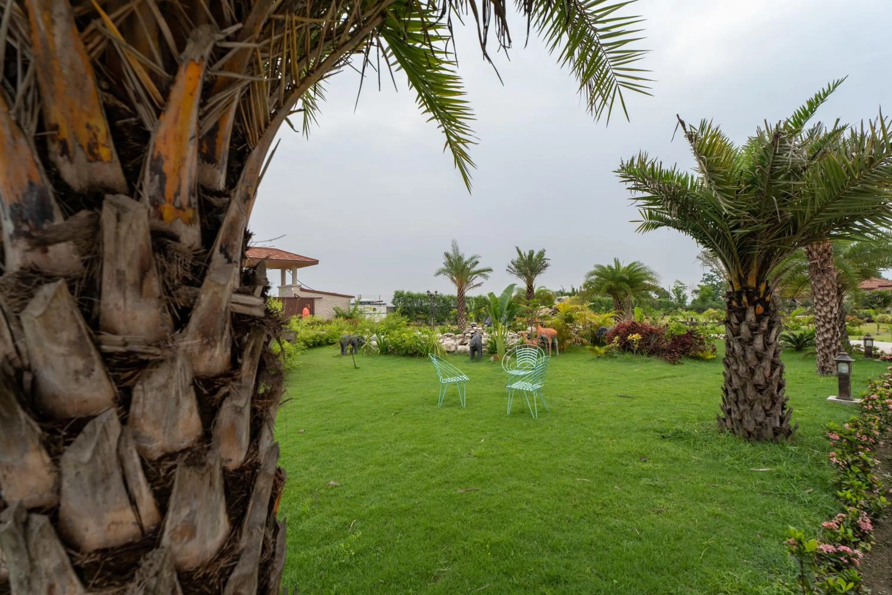 Garden in River Bank Jungle Resort, Chitwan