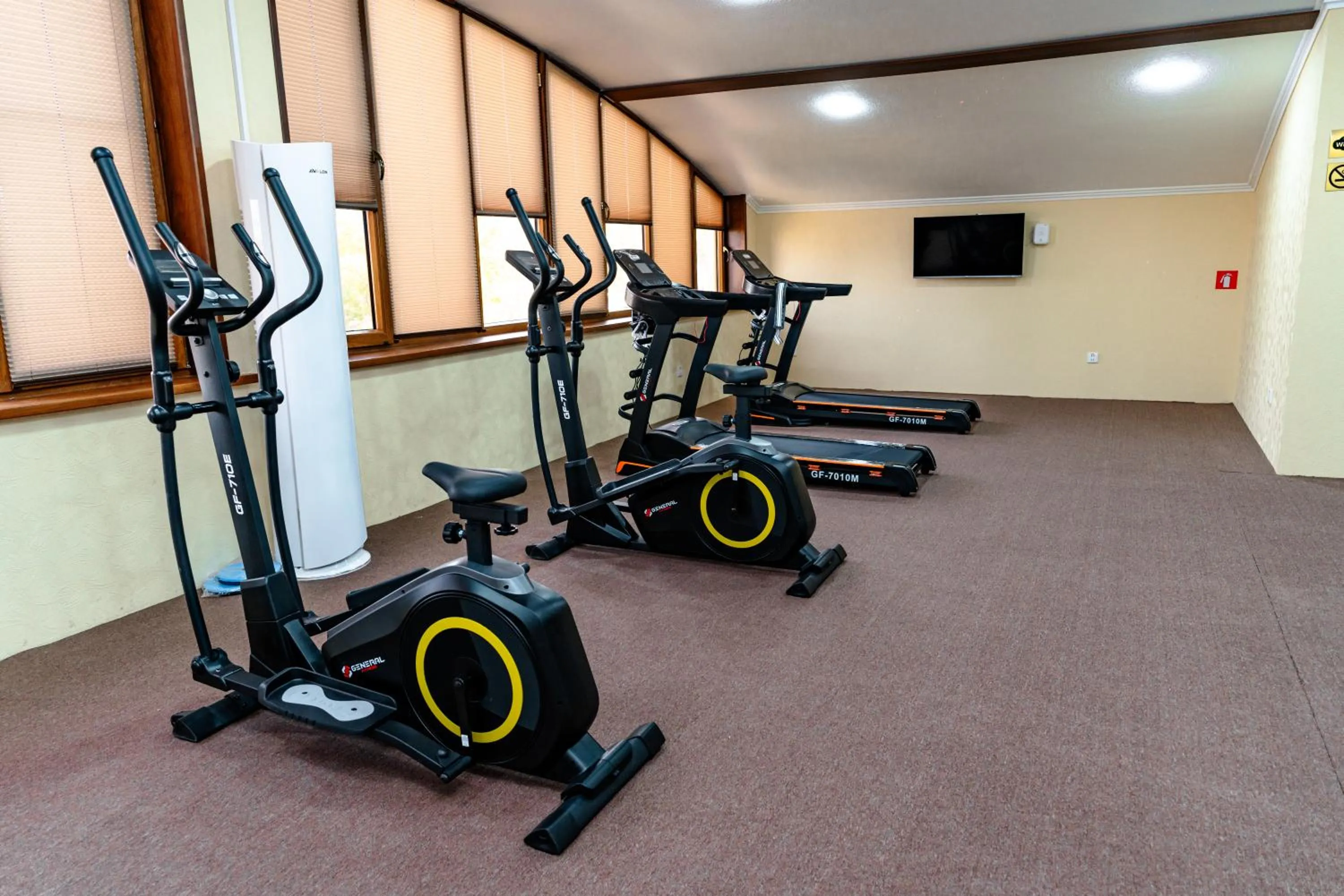 Fitness centre/facilities in Bagizagan Hotel