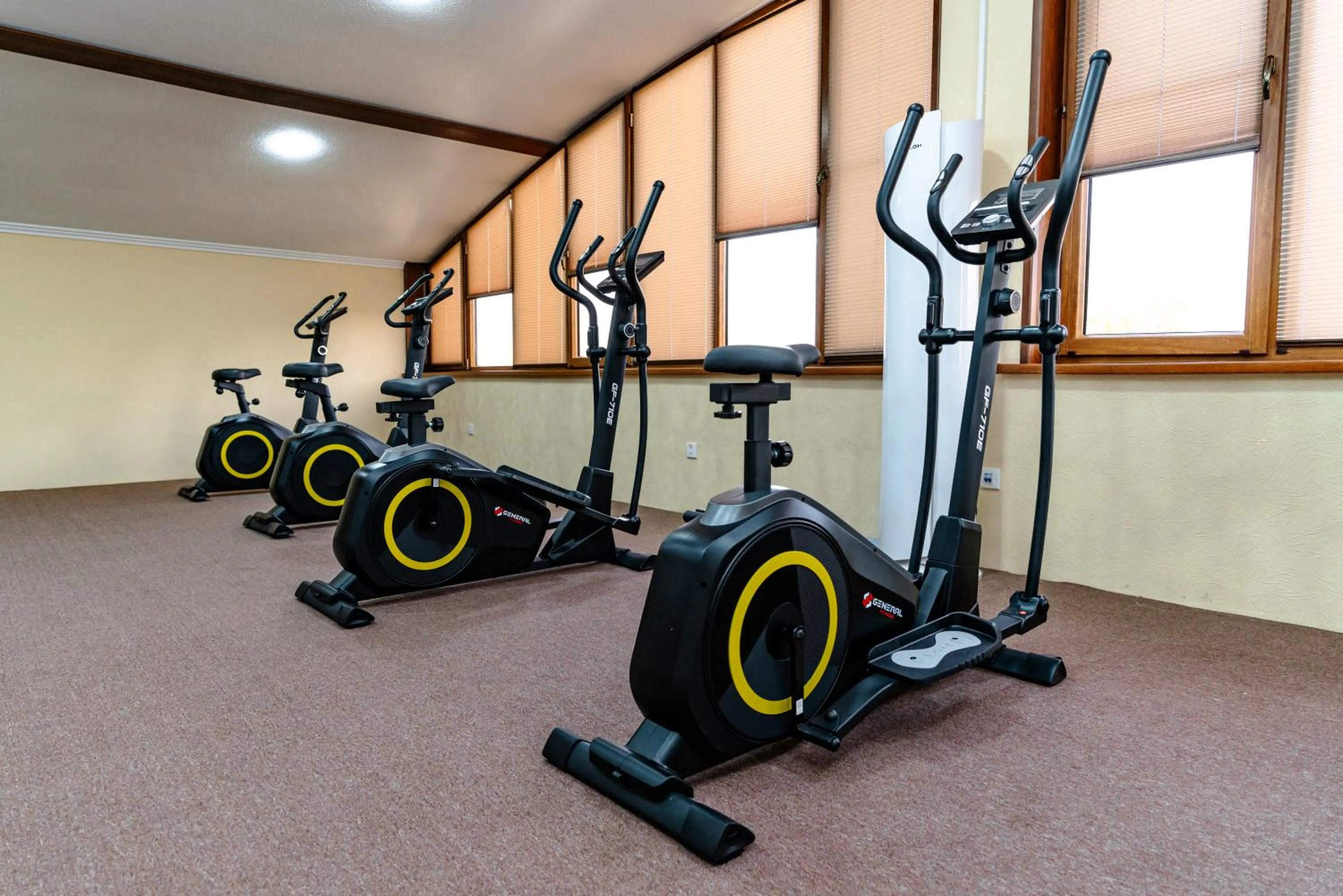 Fitness centre/facilities in Bagizagan Hotel