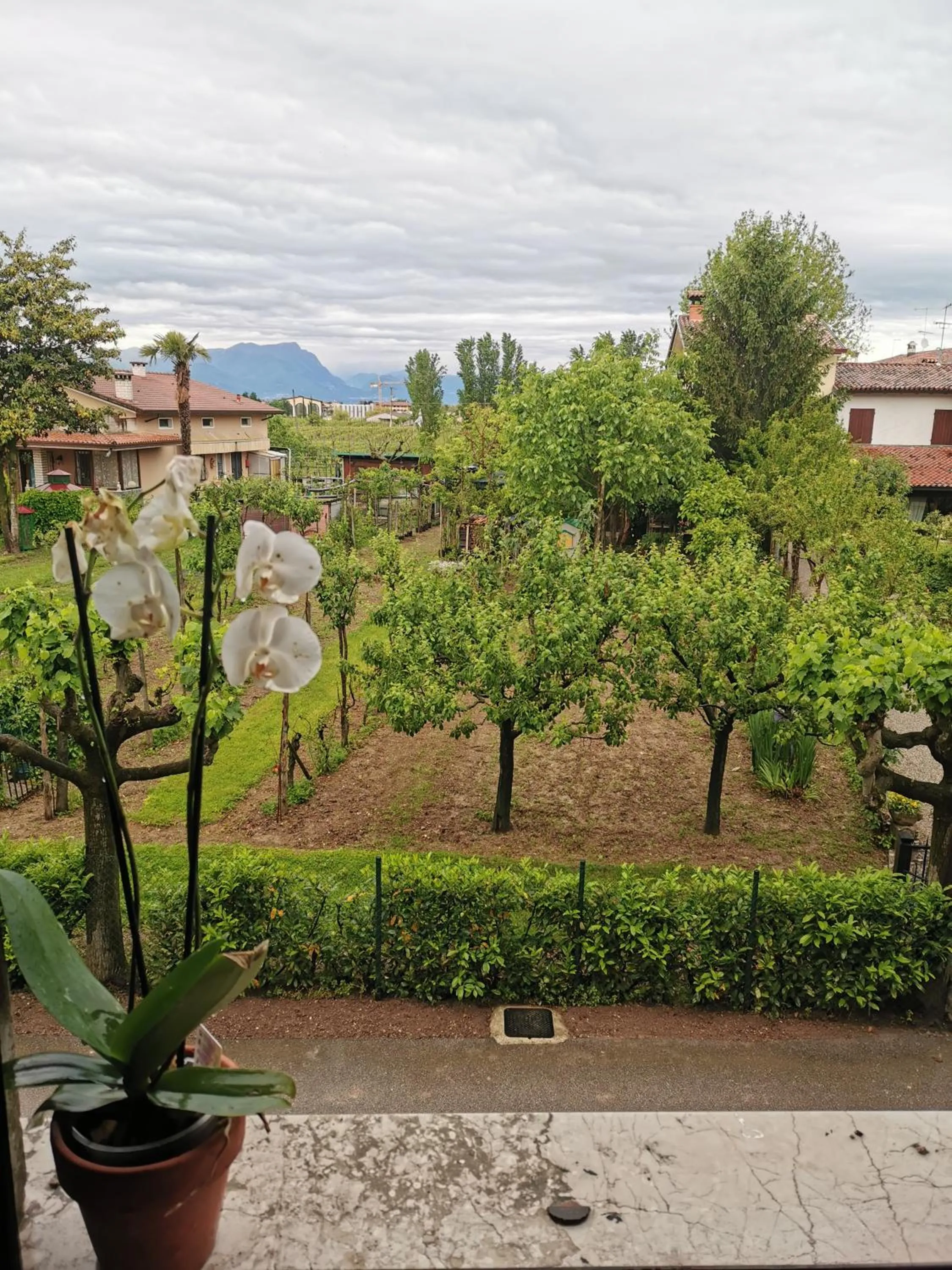 B&B LaMaGia di Corte Moronati