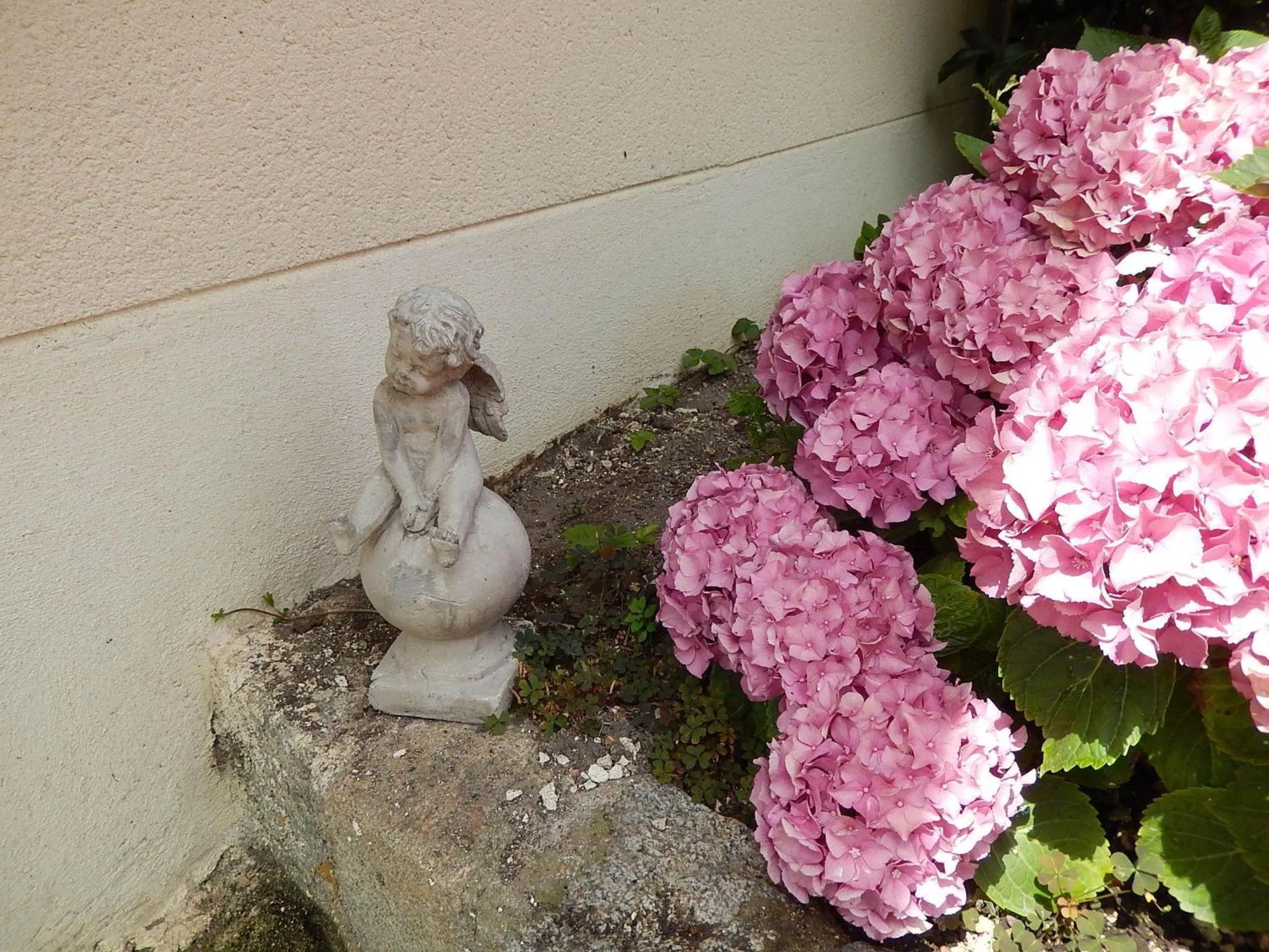 Garden in La Cordonnerie de Réau