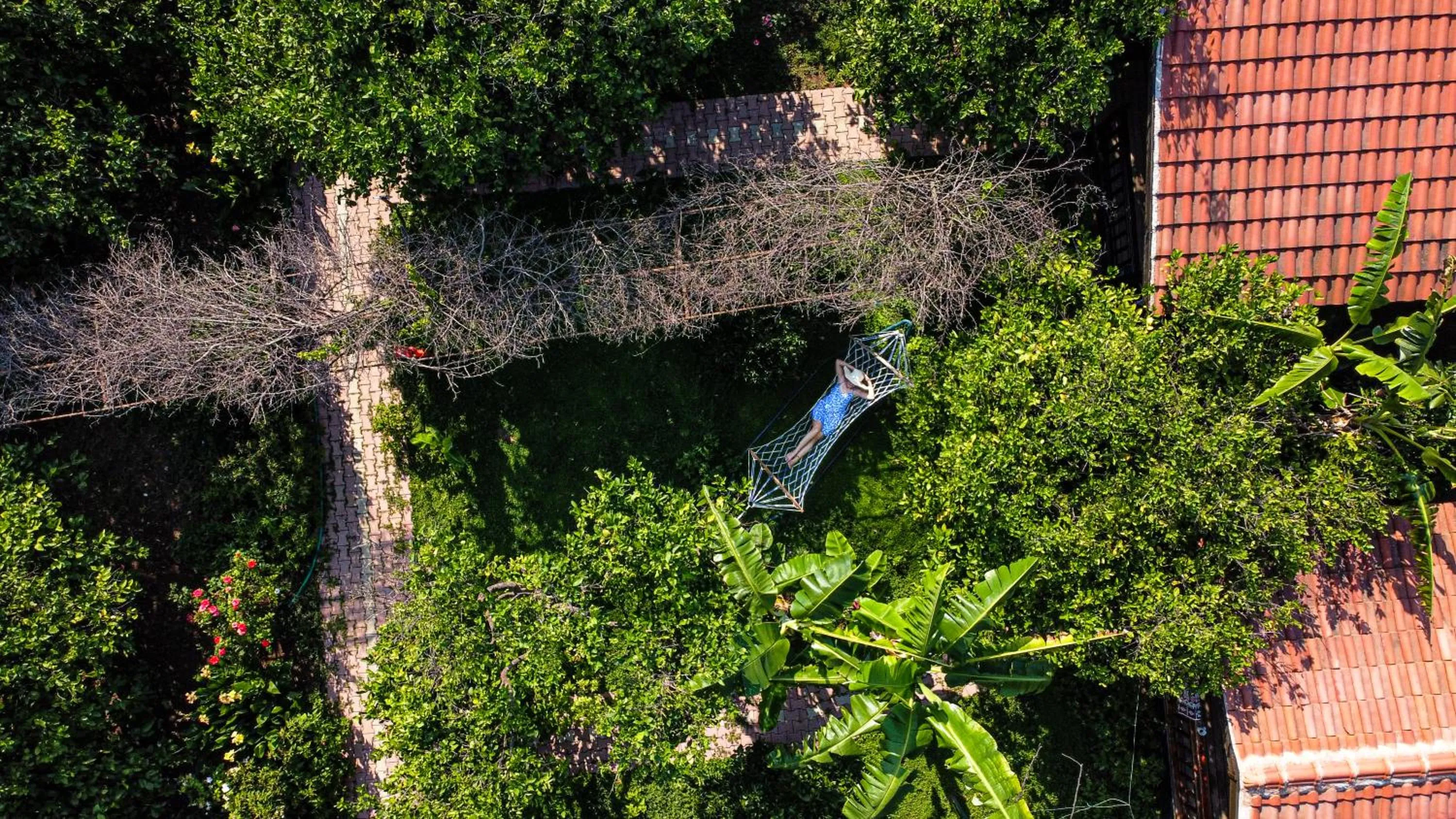 Bird's eye view in Lemon Garden Lodge