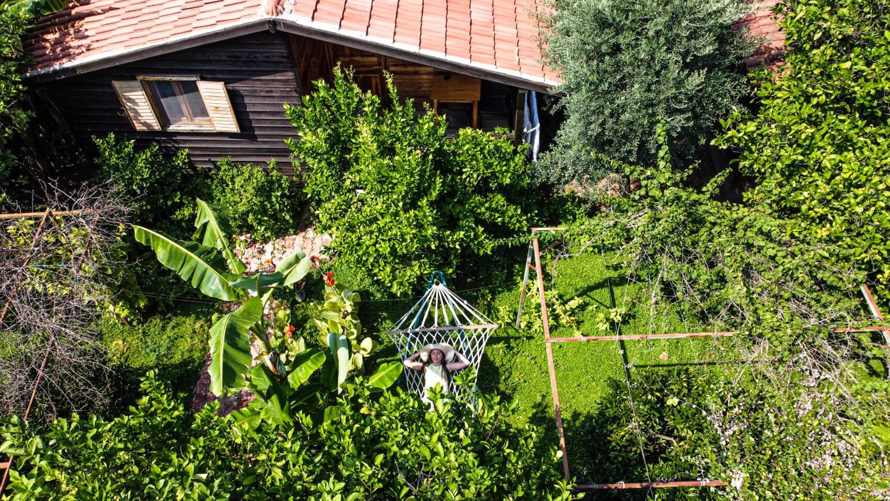 Garden in Lemon Garden Lodge