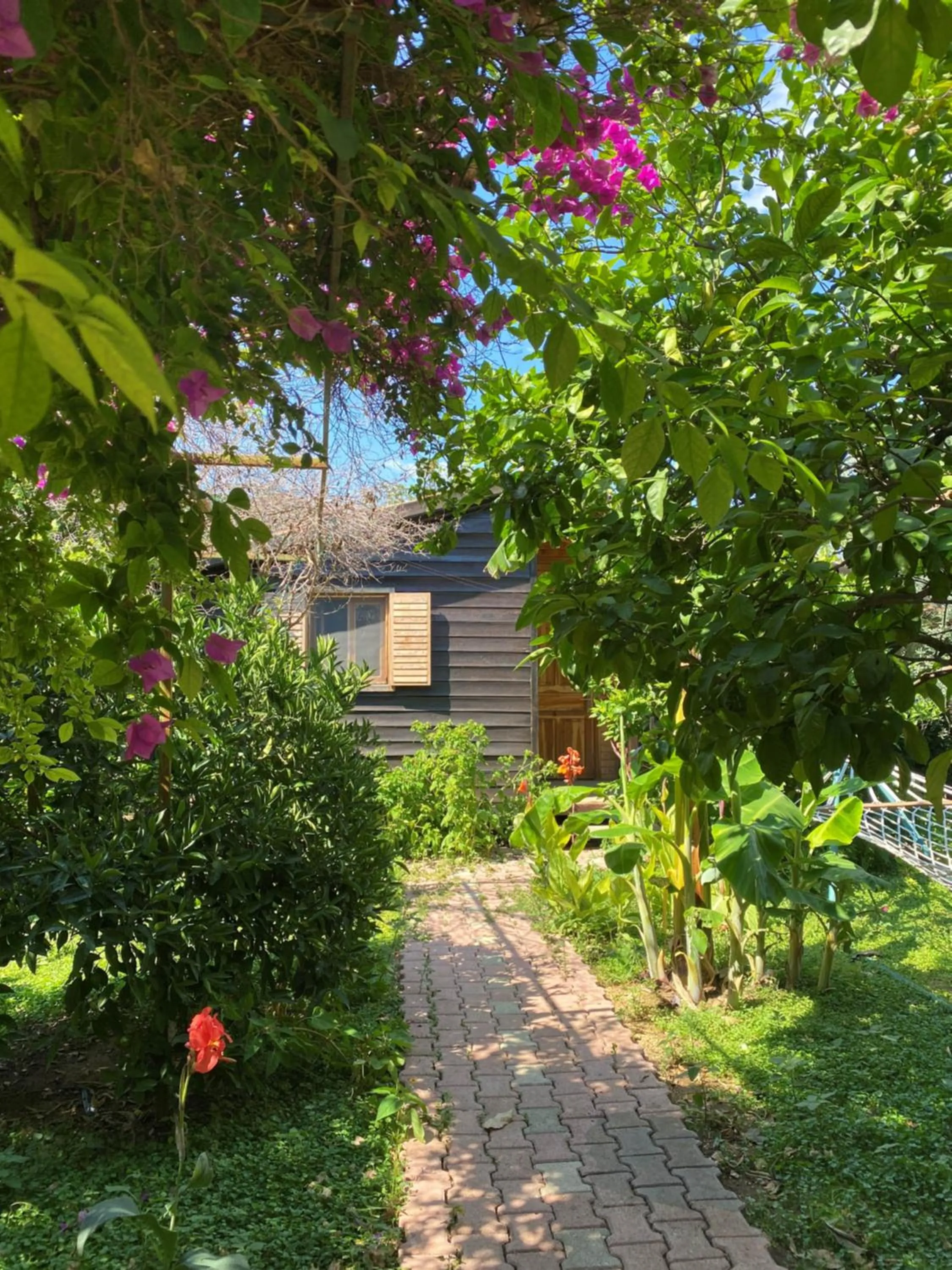 Garden view in Lemon Garden Lodge