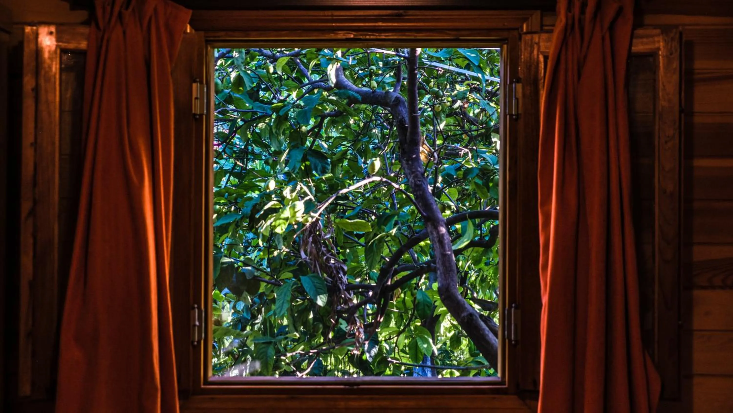 Massage in Lemon Garden Lodge