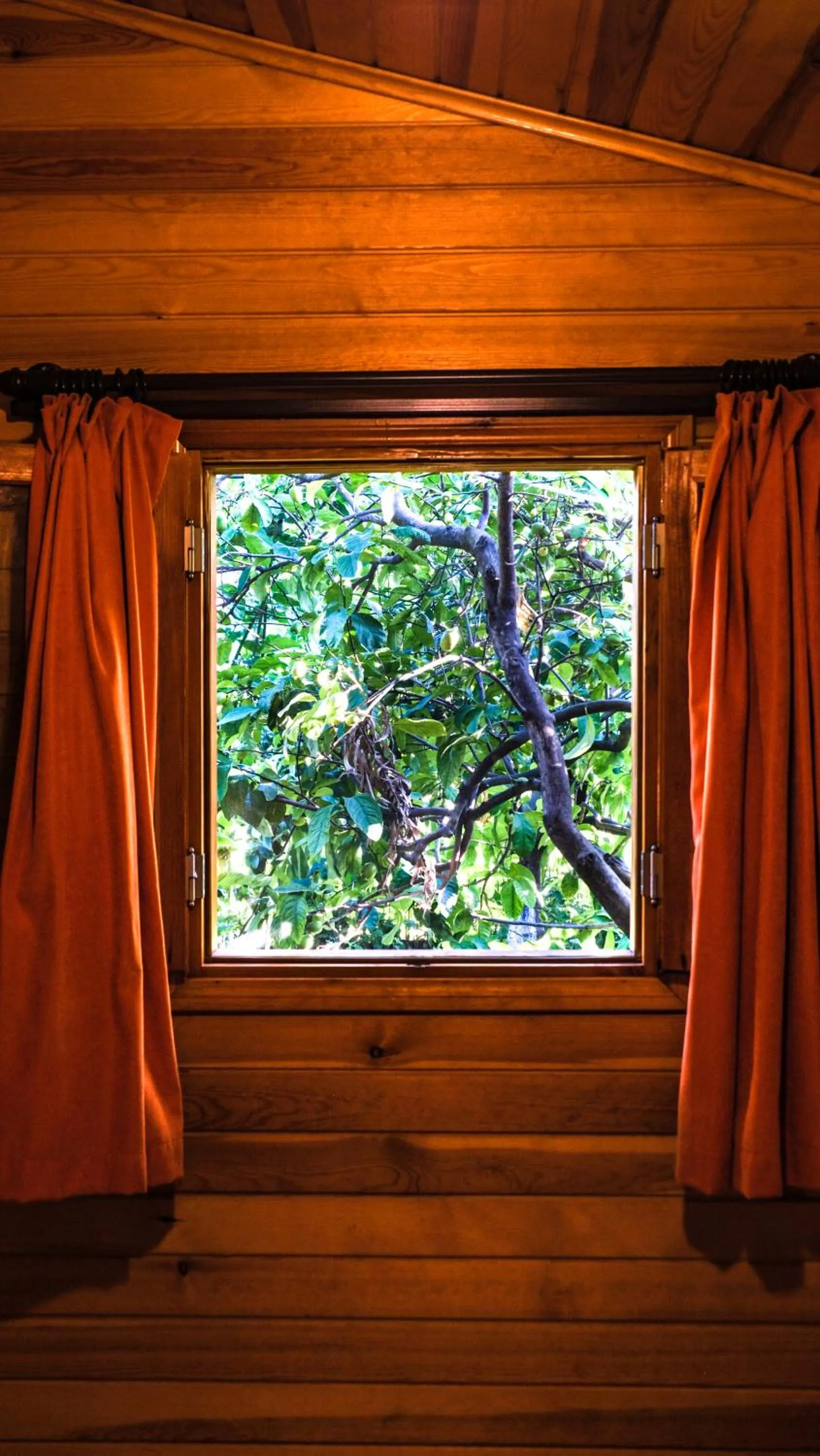 Massage in Lemon Garden Lodge