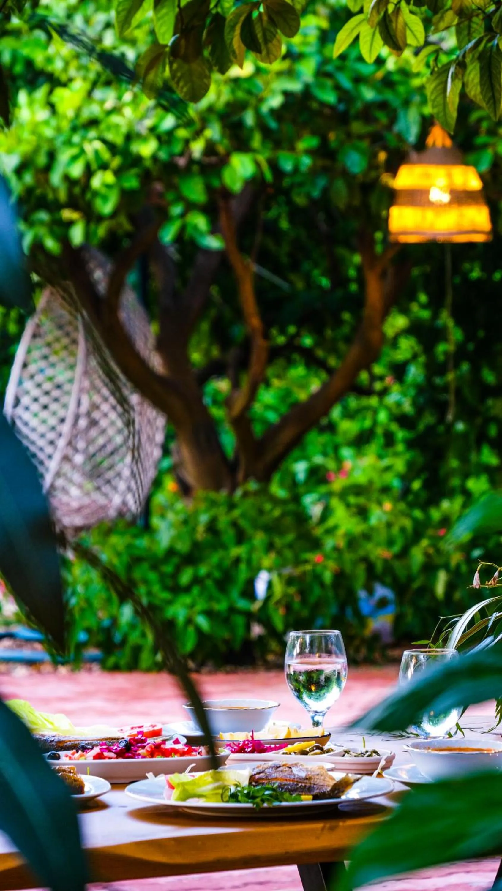 Restaurant/places to eat in Lemon Garden Lodge