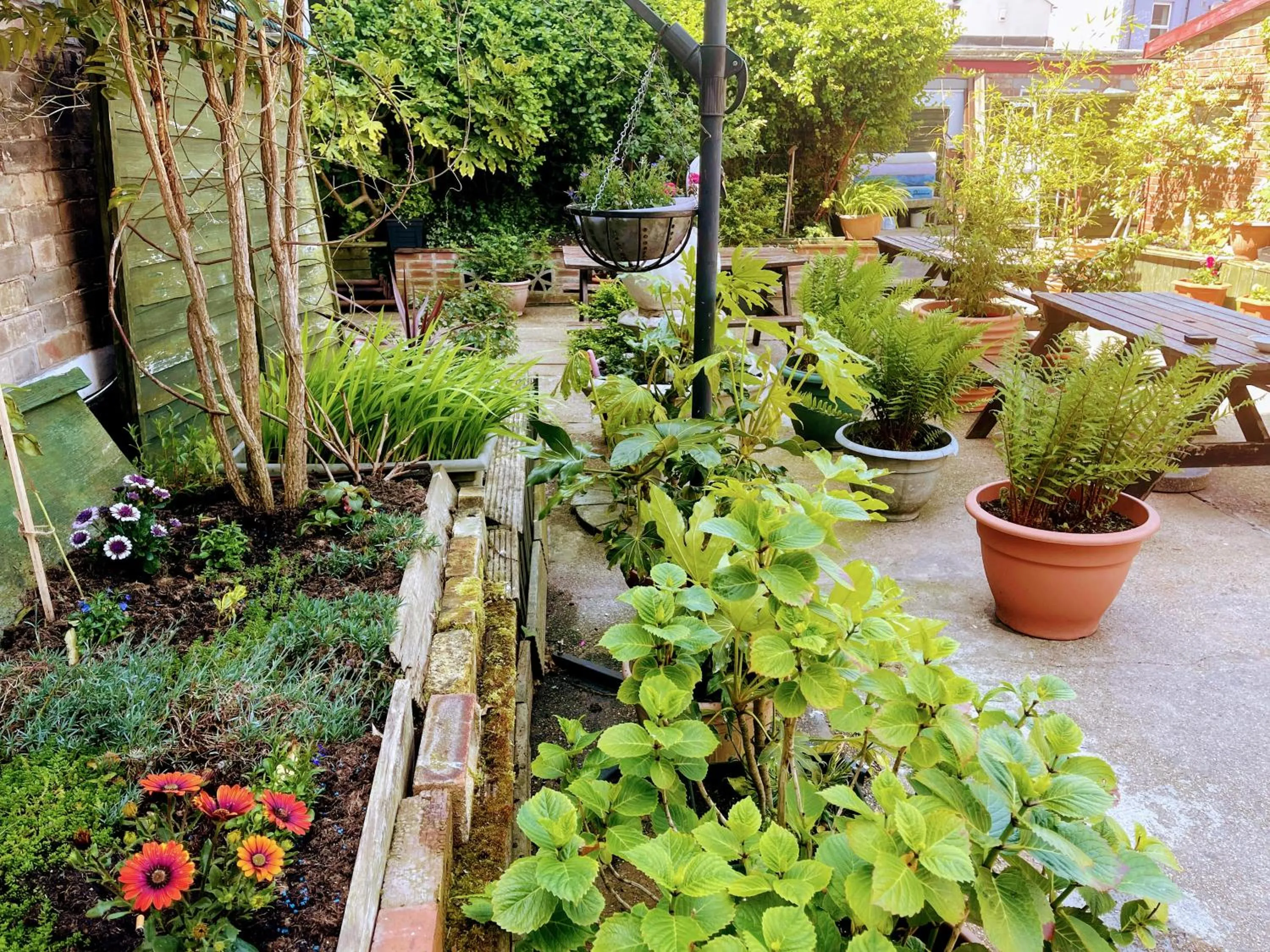 Garden in St George Hotel Great Yarmouth