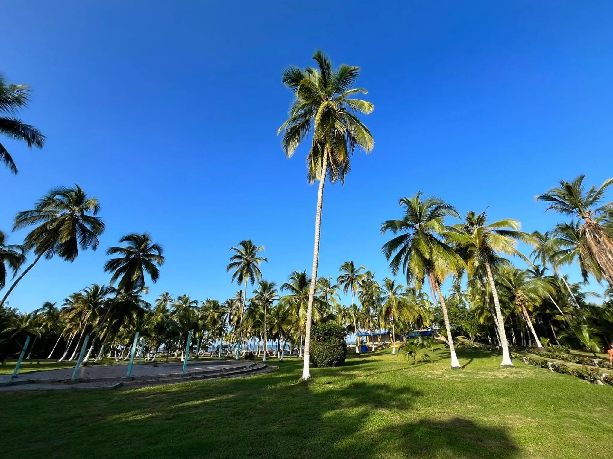 Garden view in CASA DE CAMPO CASTILLETE dentro del PARQUE TAYRONA