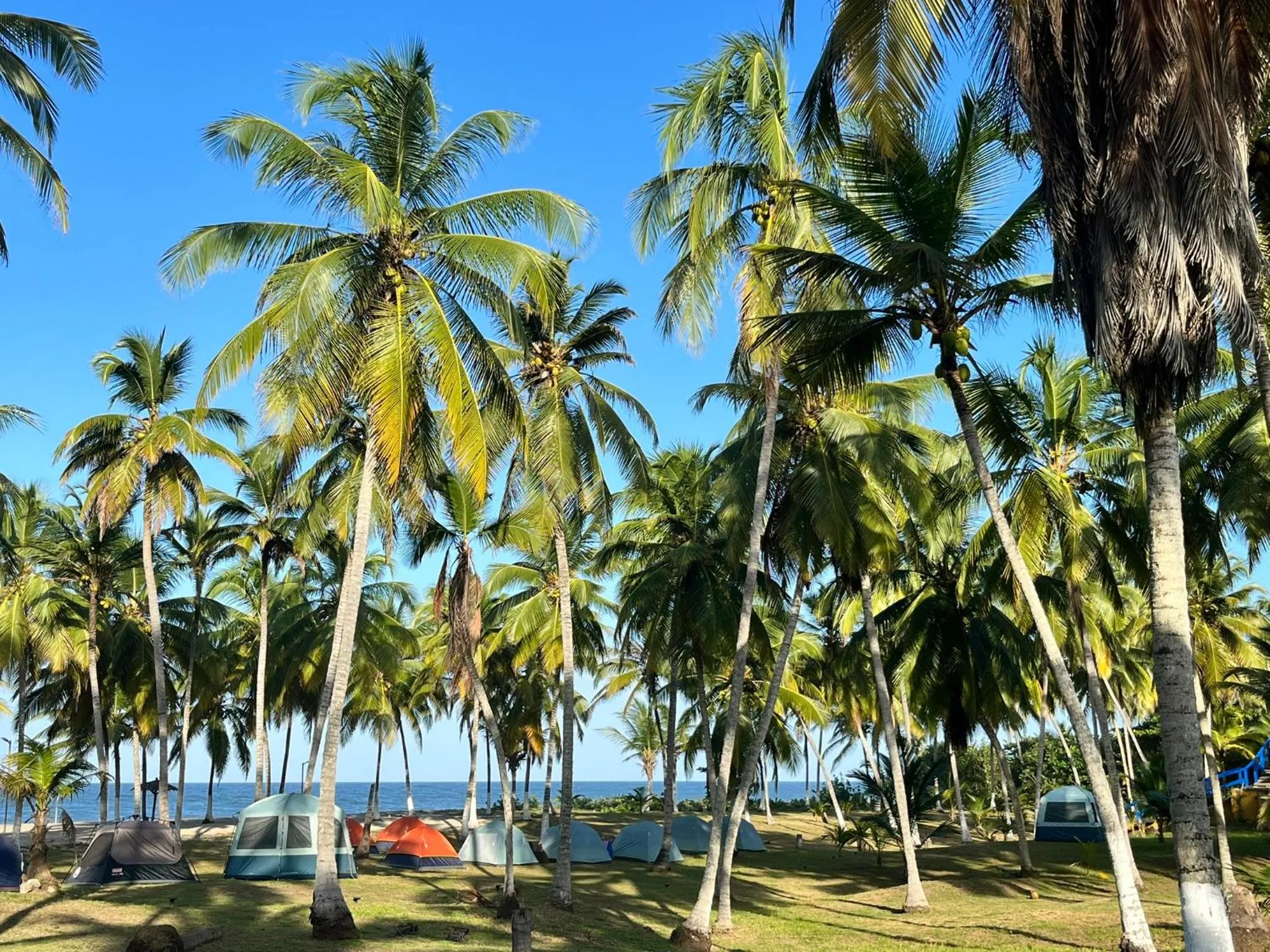Natural landscape in CASA DE CAMPO CASTILLETE dentro del PARQUE TAYRONA