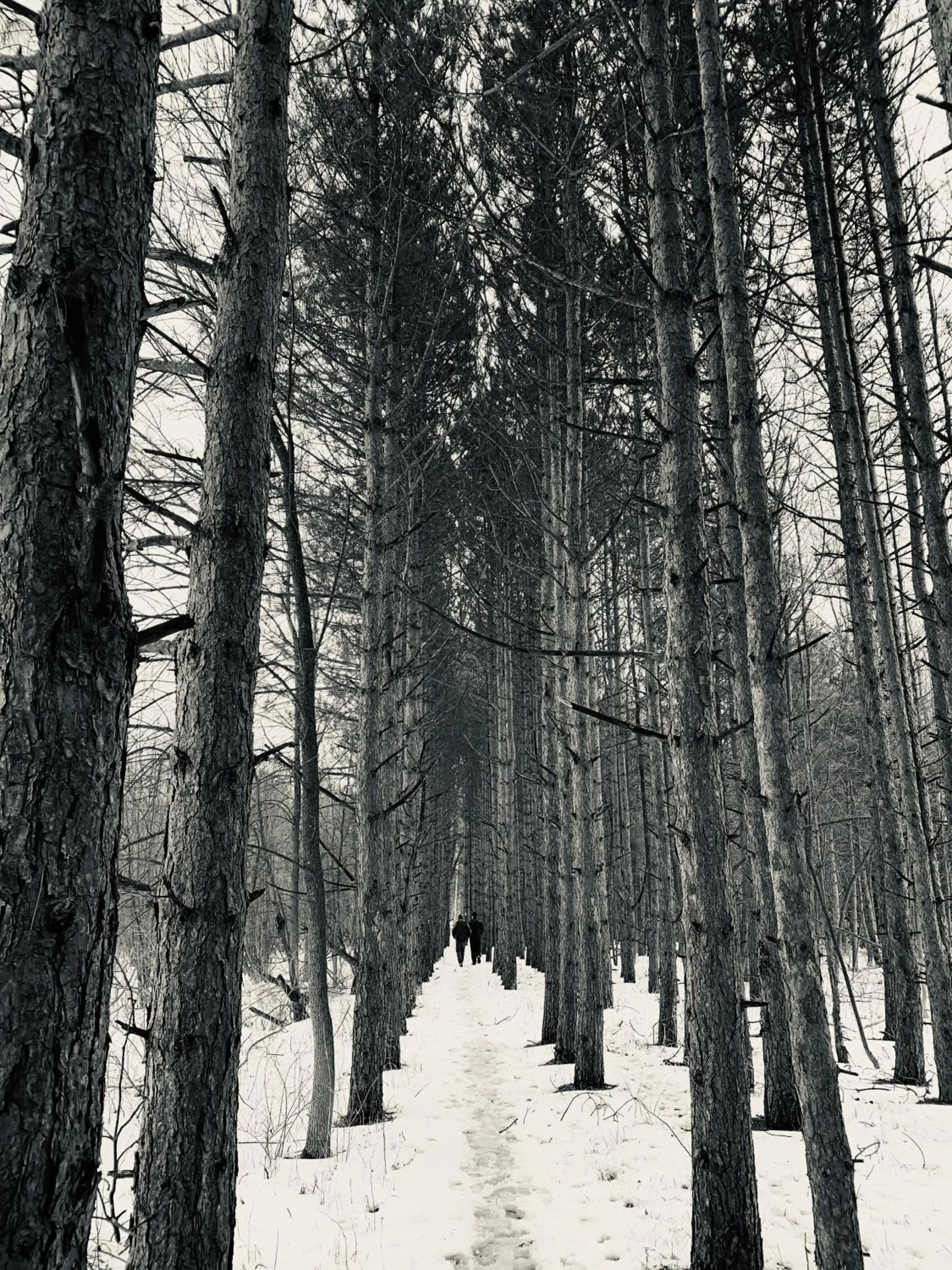 Activities in Village Inn on the Lake