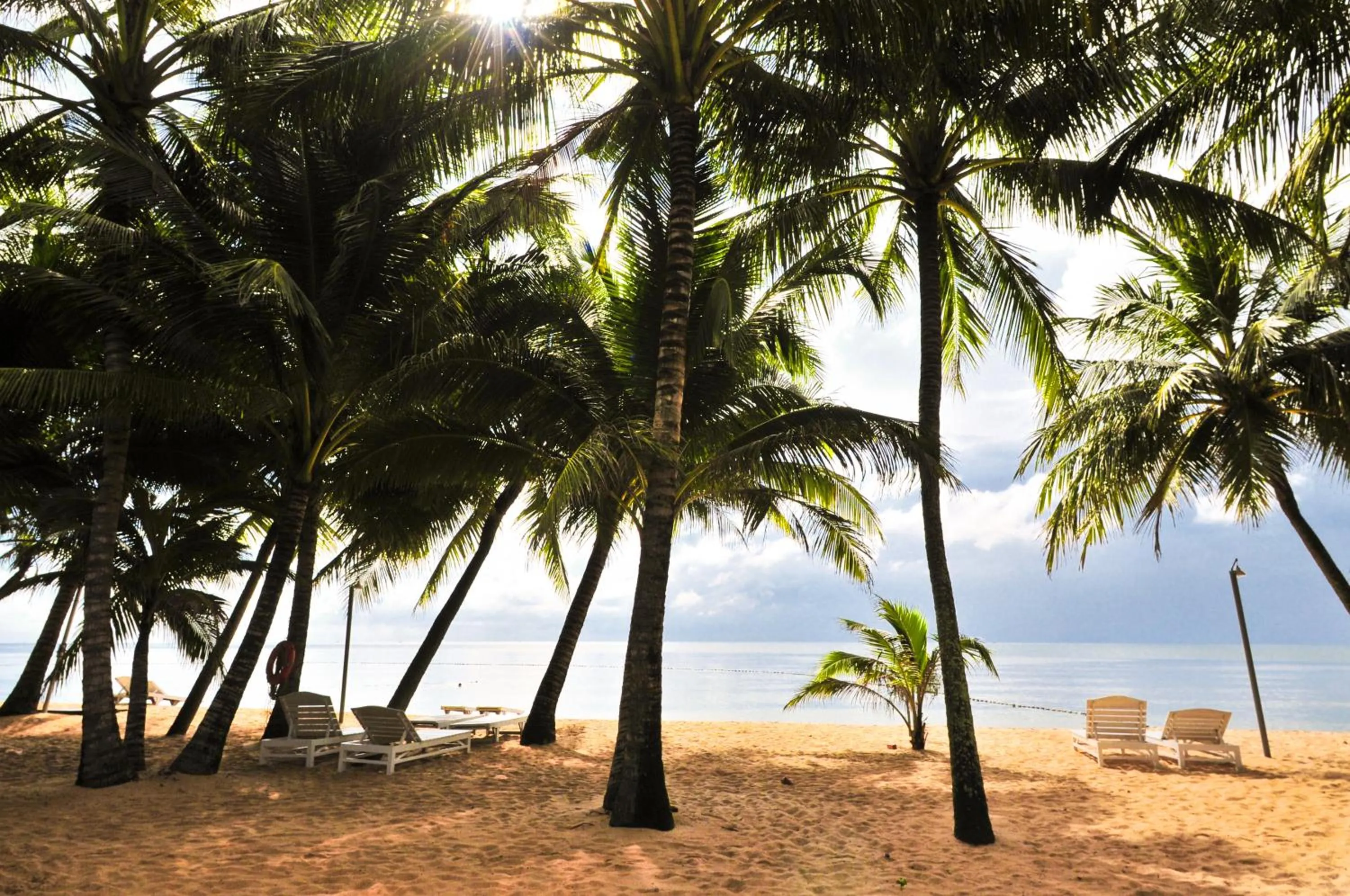 Beach in Sea Star Resort