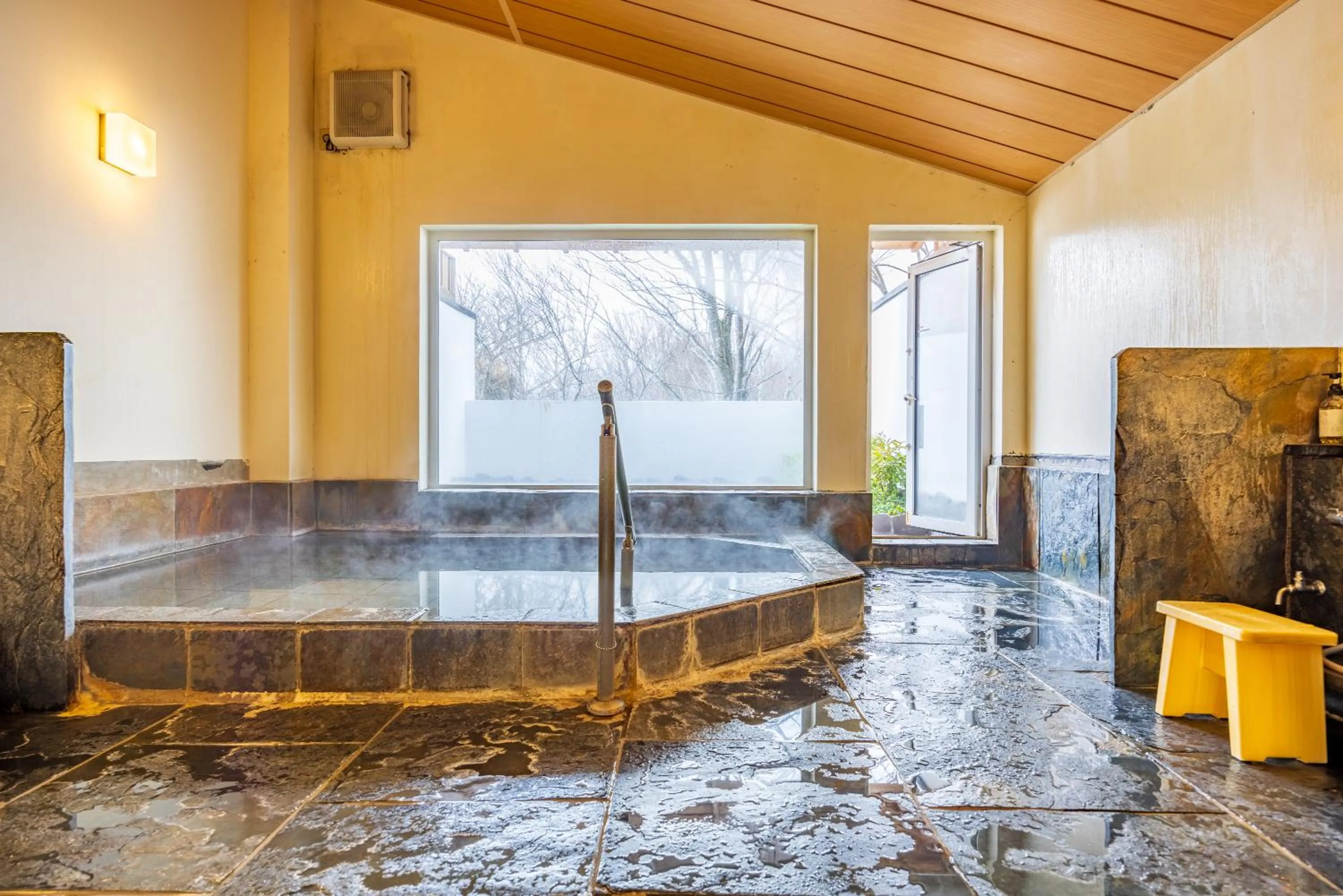 Public Bath in Sengokuhara Shinanoki Ichinoyu