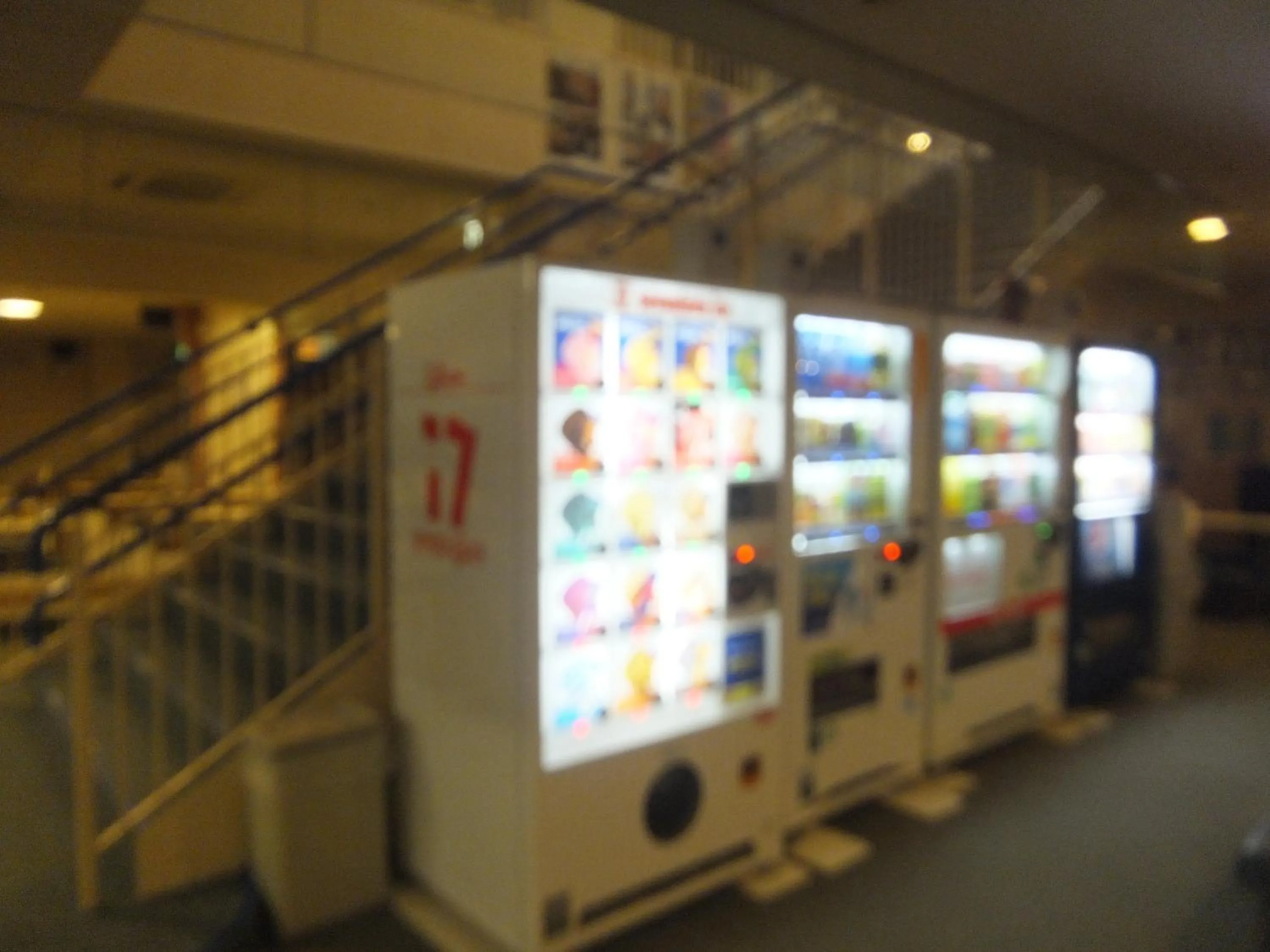 Area and facilities in Natural Onsen Hostel Hidamari no Yu