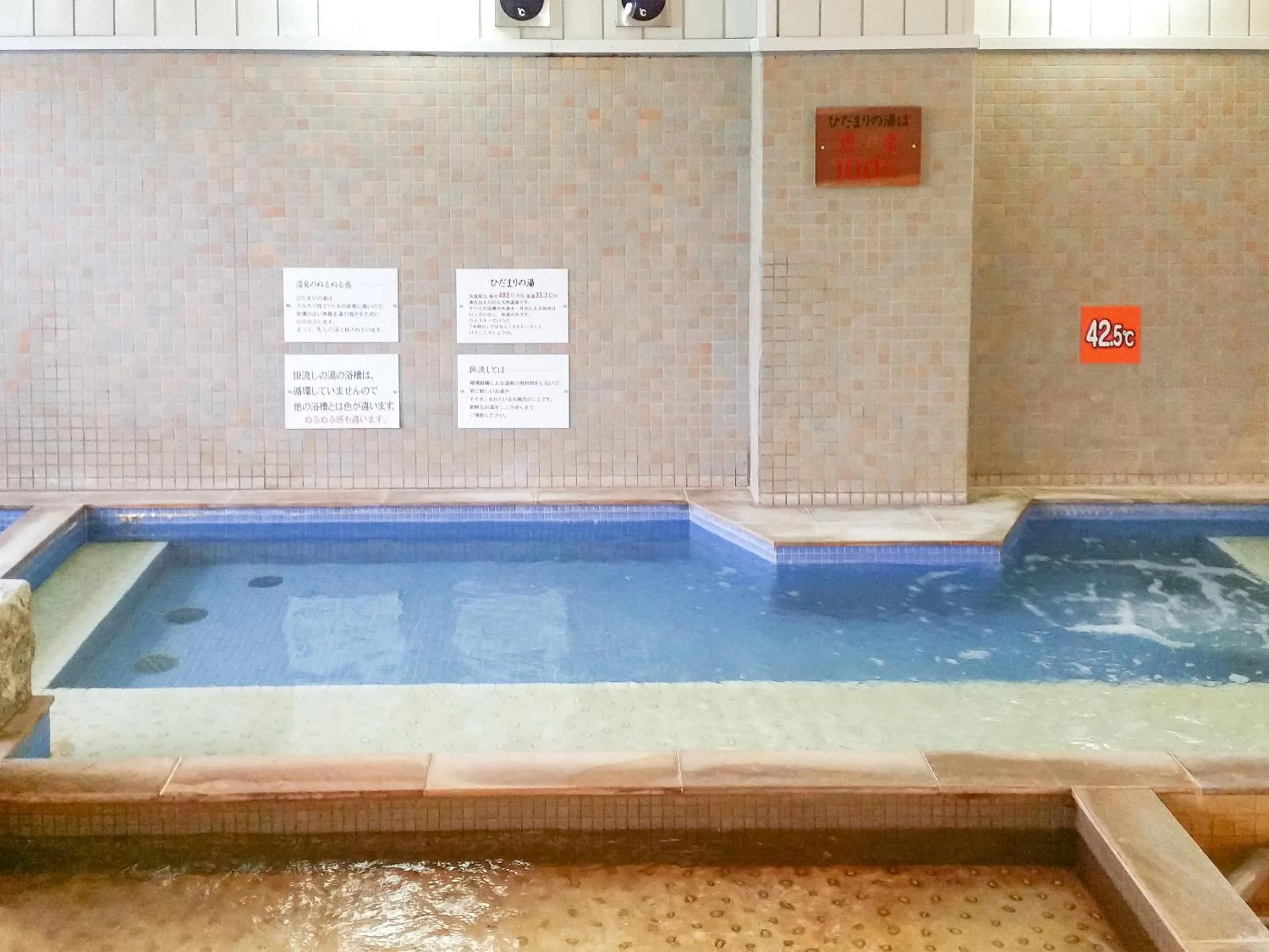 Public Bath in Natural Onsen Hostel Hidamari no Yu