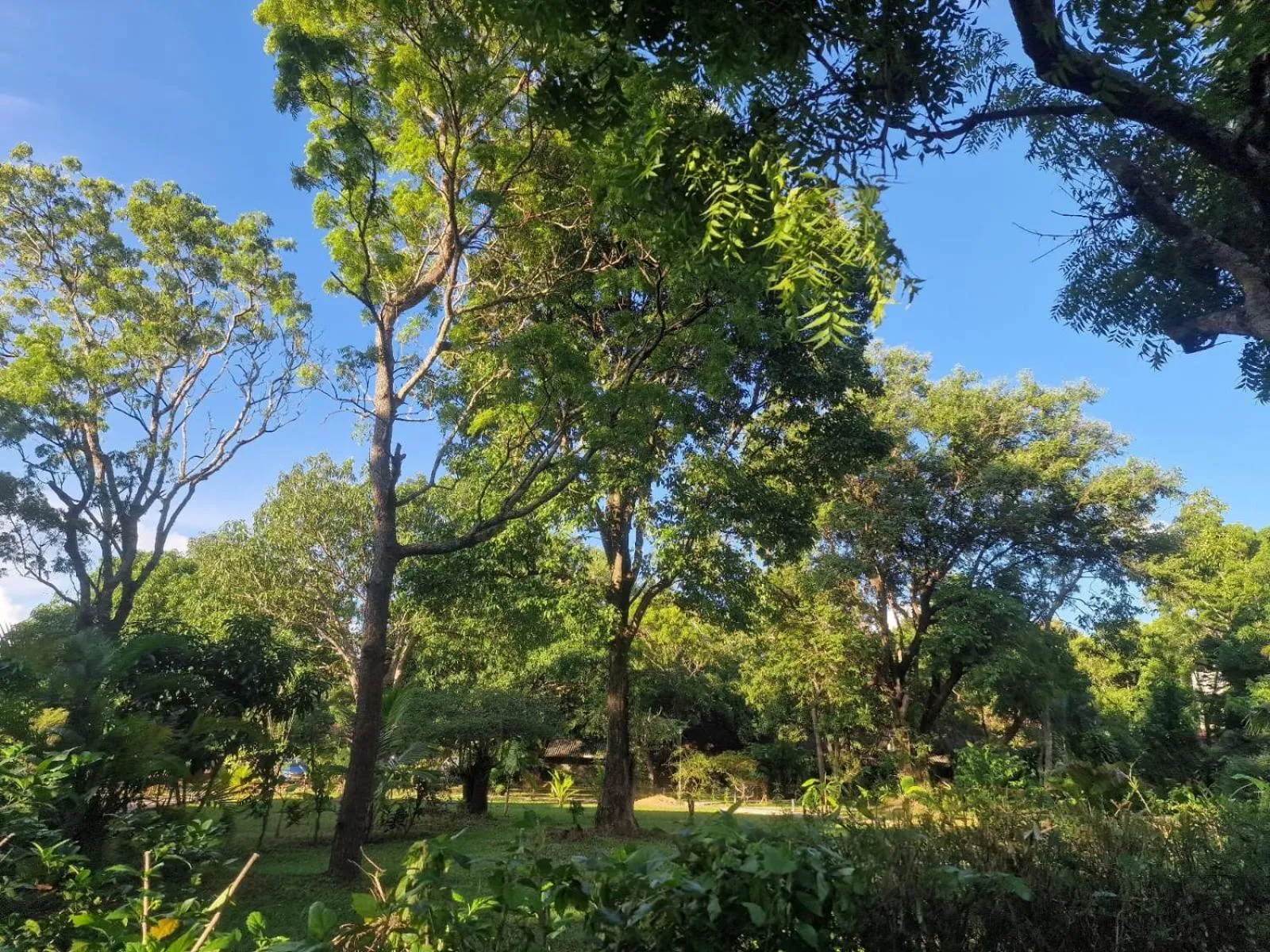 Sigiriya Cottage