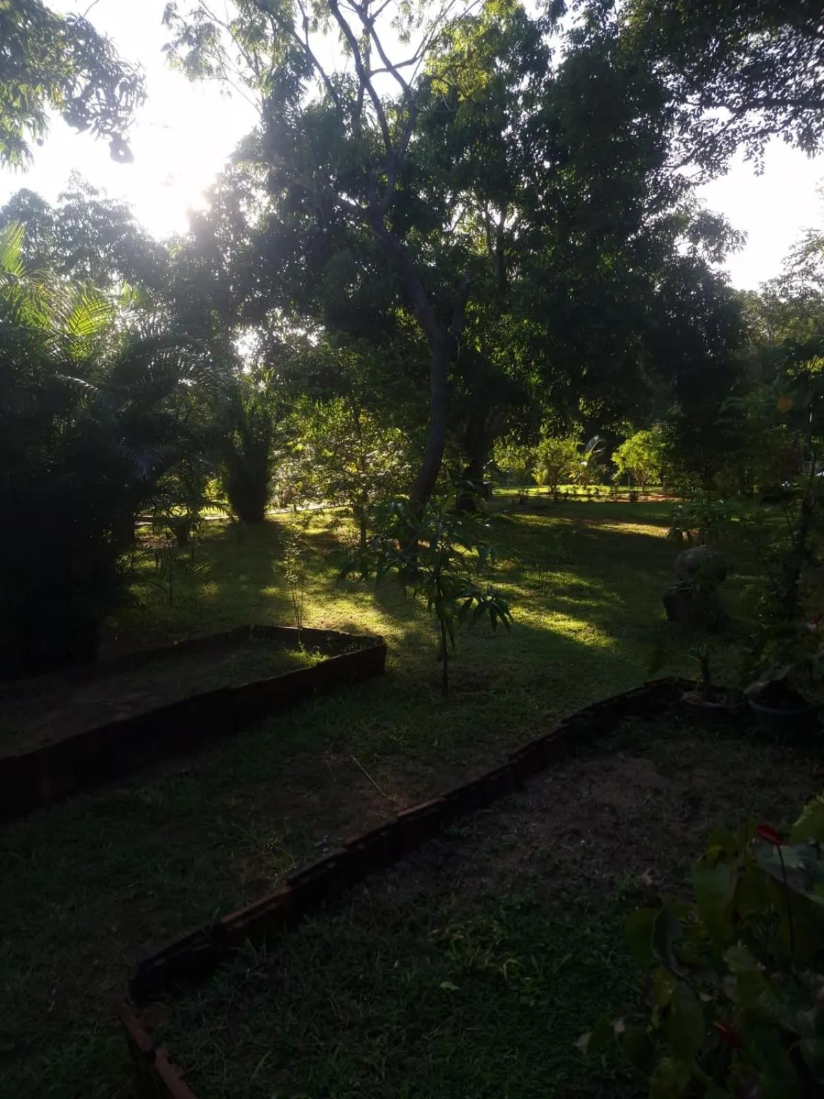 Sigiriya Cottage