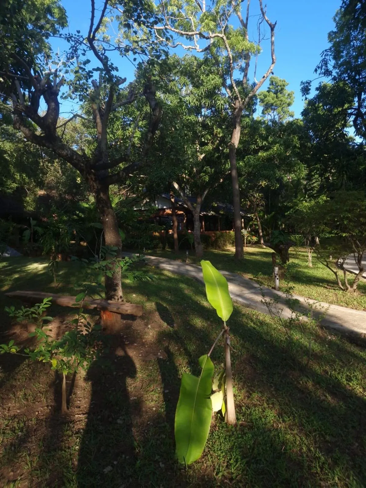 Sigiriya Cottage