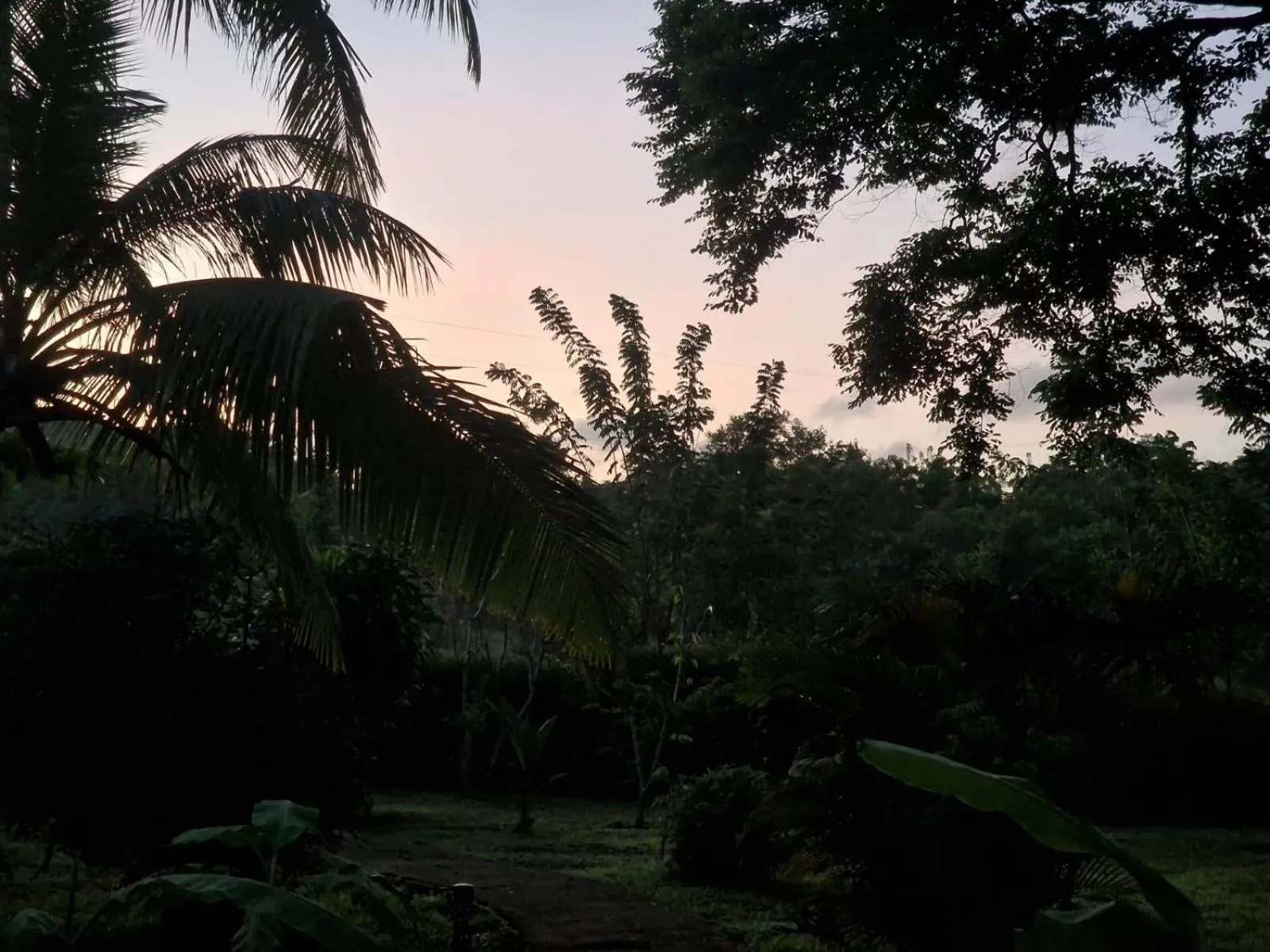 Sunrise in Sigiriya Cottage