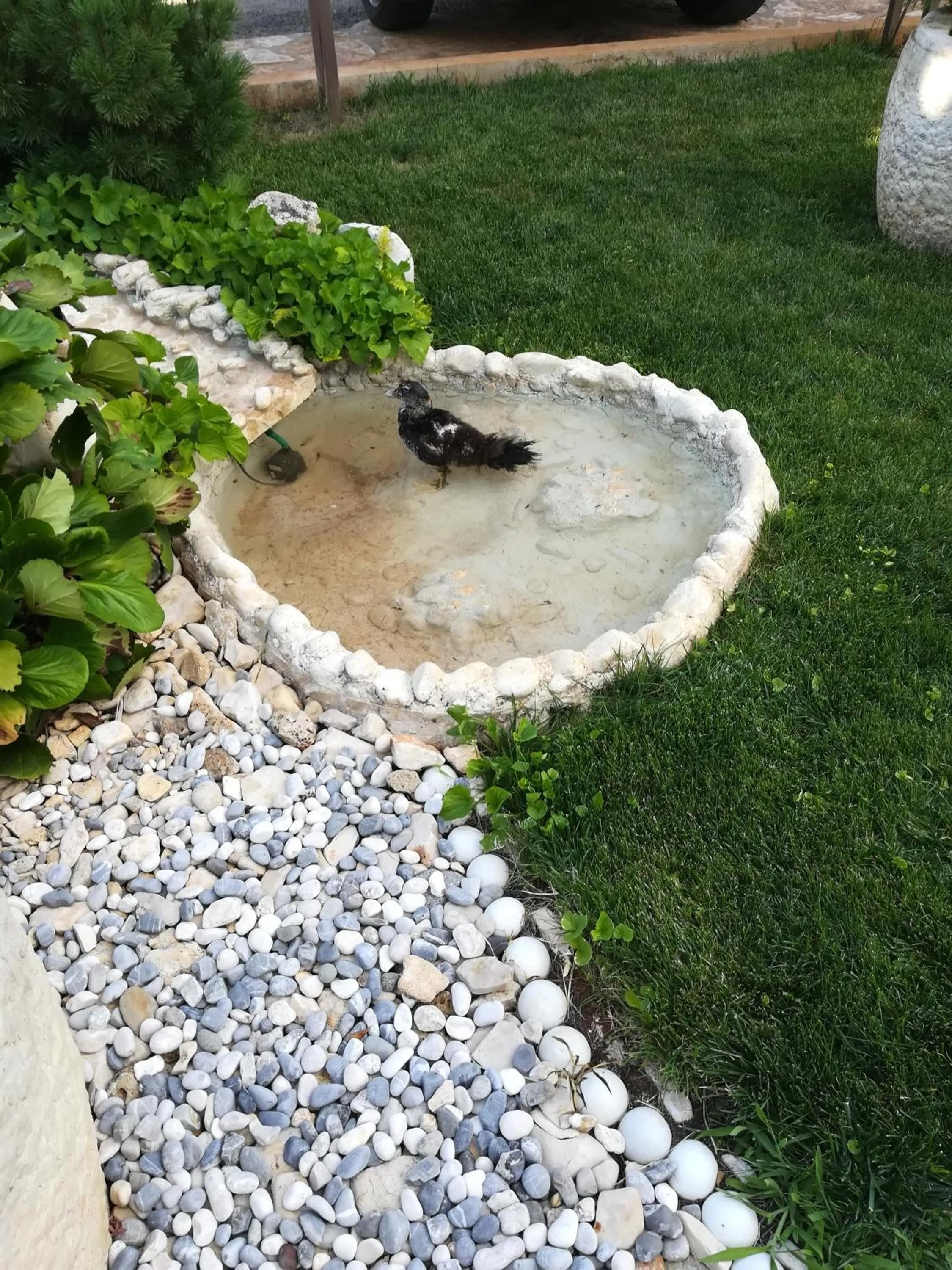Garden in Apartmani Villa Otilija