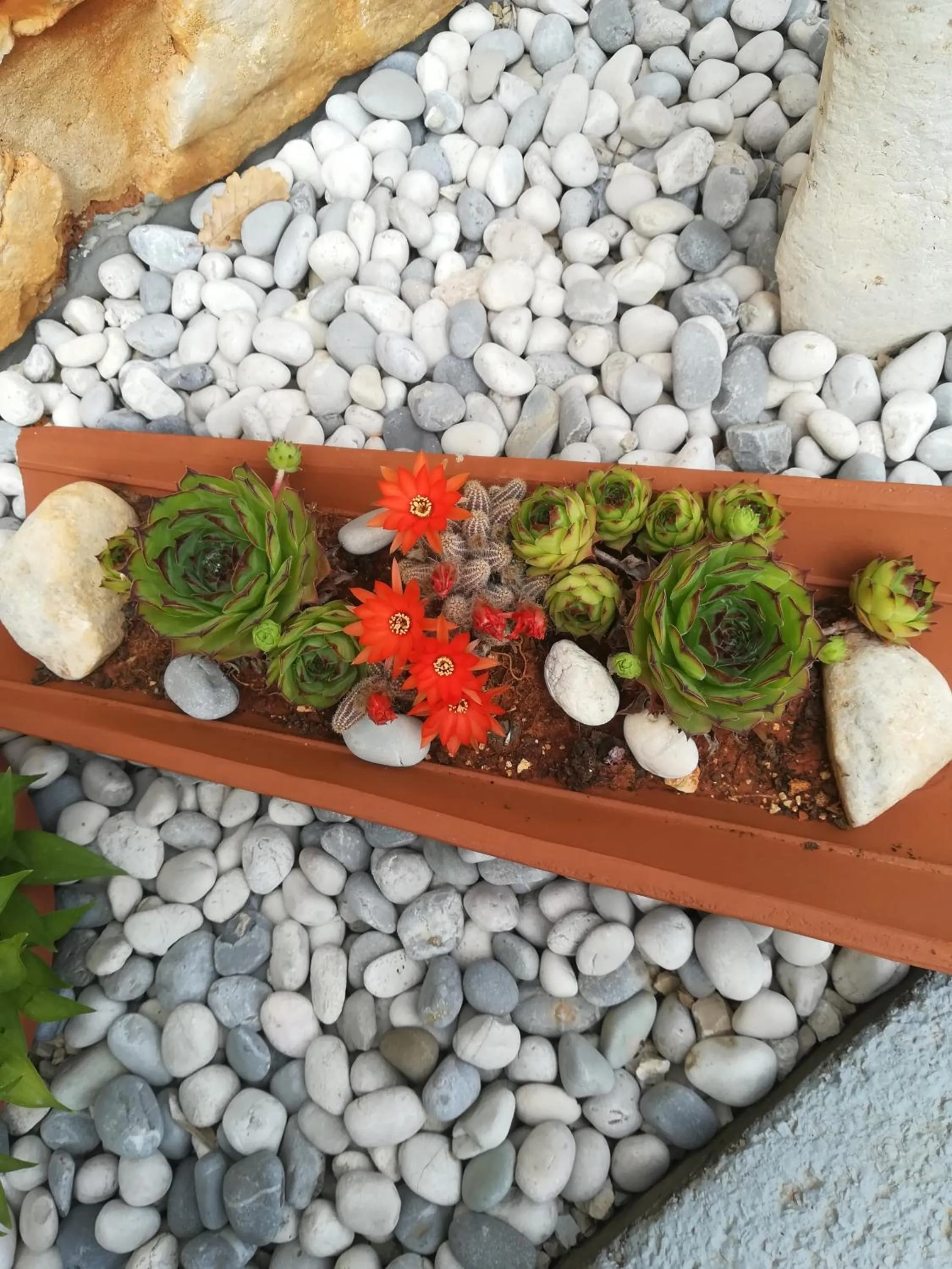 Property building in Apartmani Villa Otilija