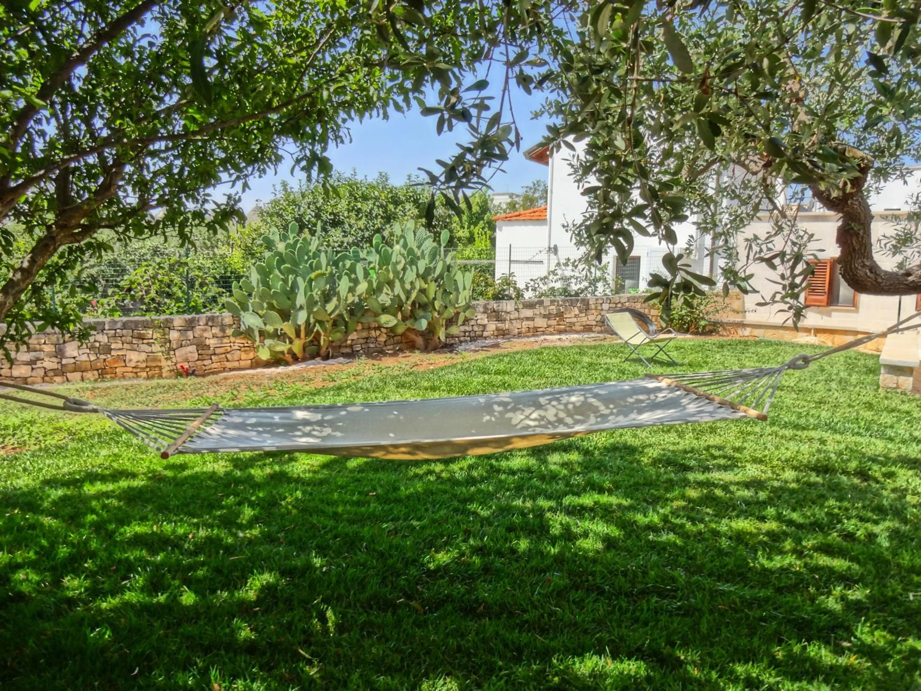 Garden in Trulli-eu Guesthouse Alberobello