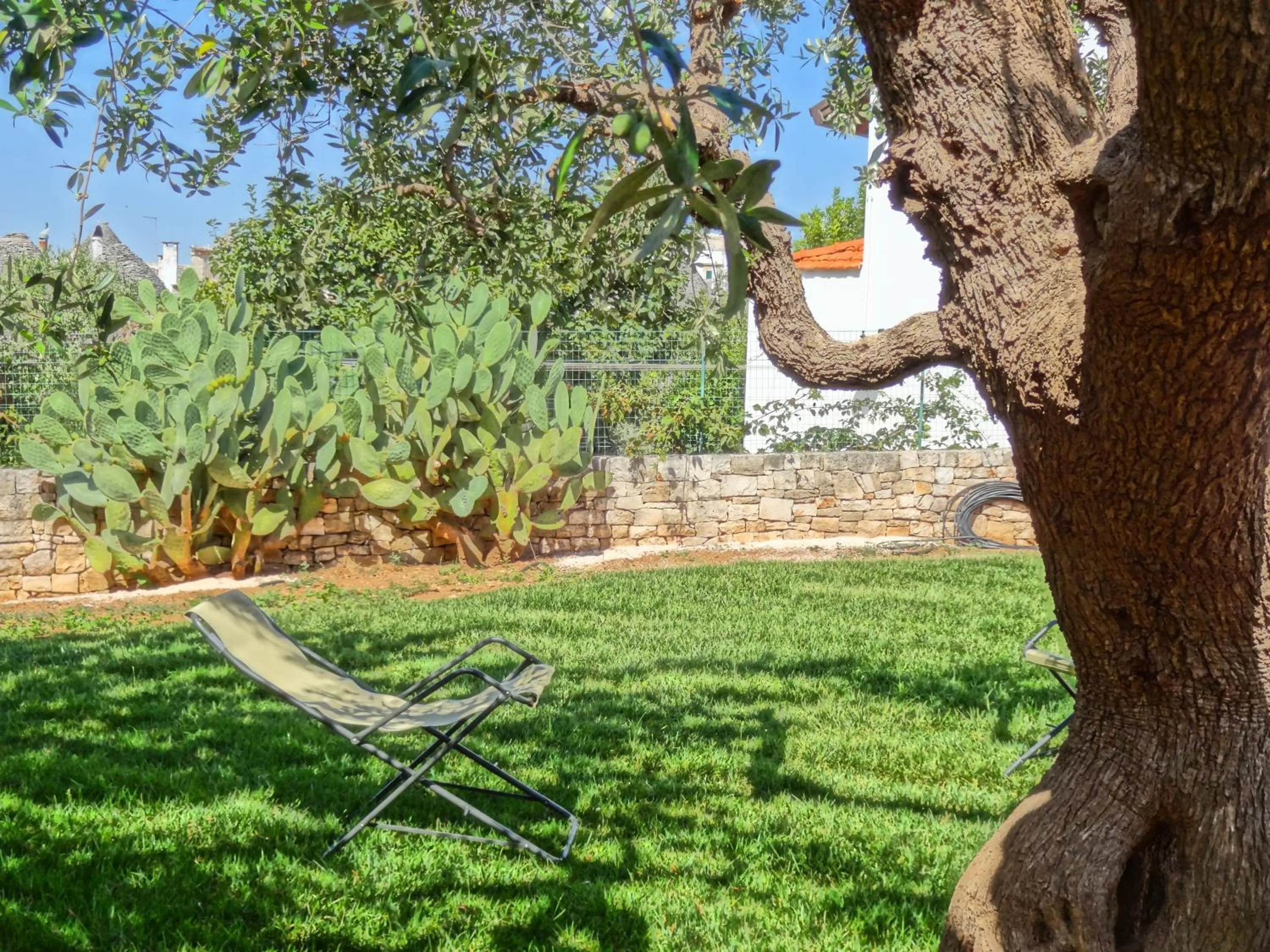 Garden in Trulli-eu Guesthouse Alberobello