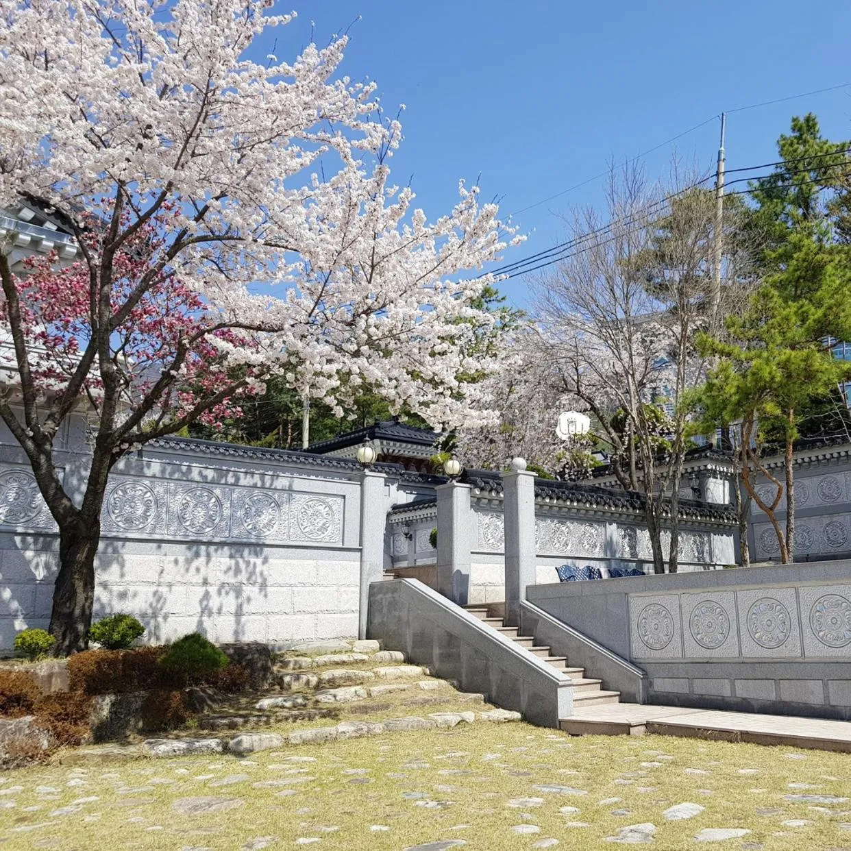 Garden in Hotel Gaya