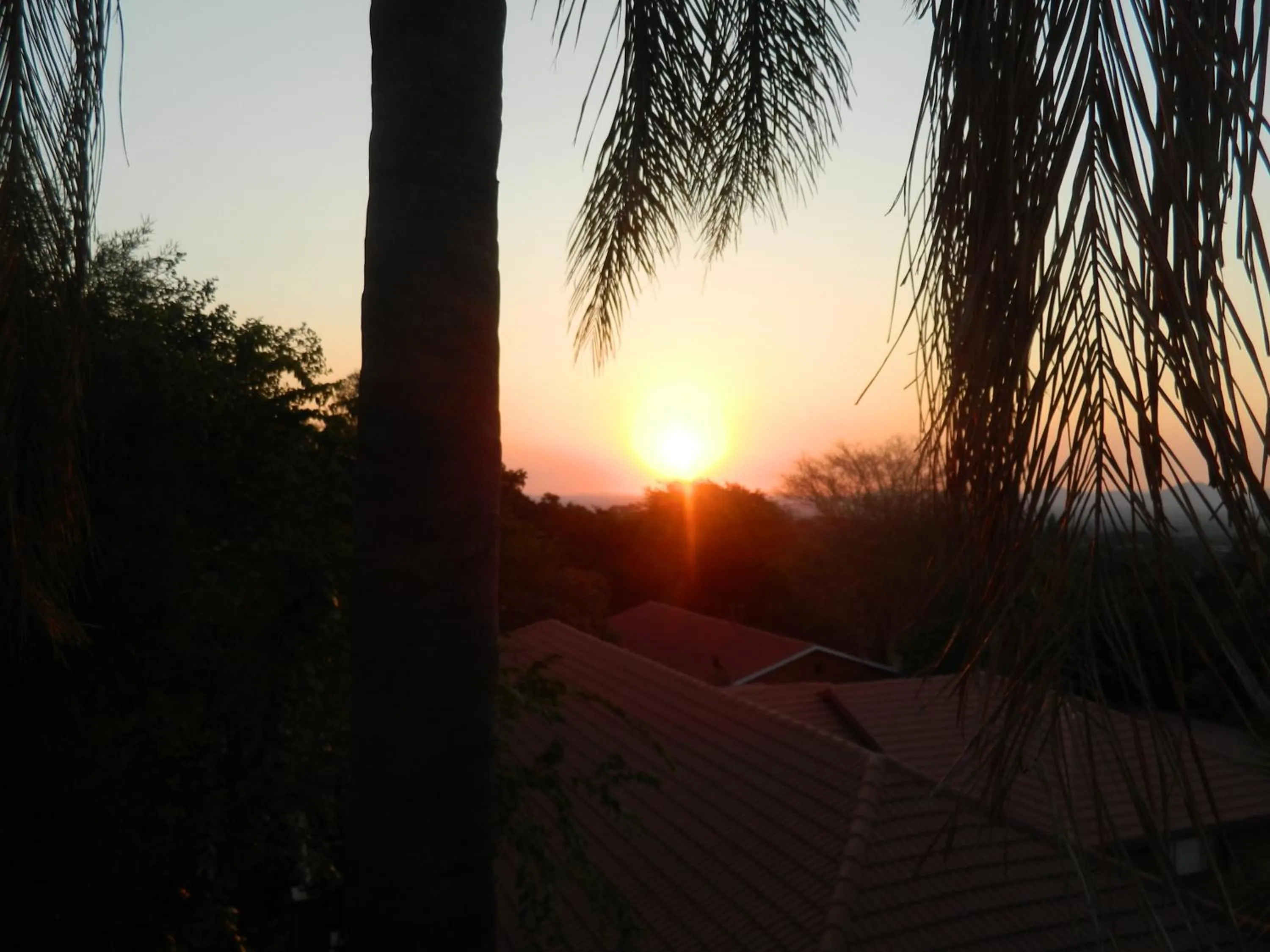 Natural landscape in Edelweiss Corporate Guest House