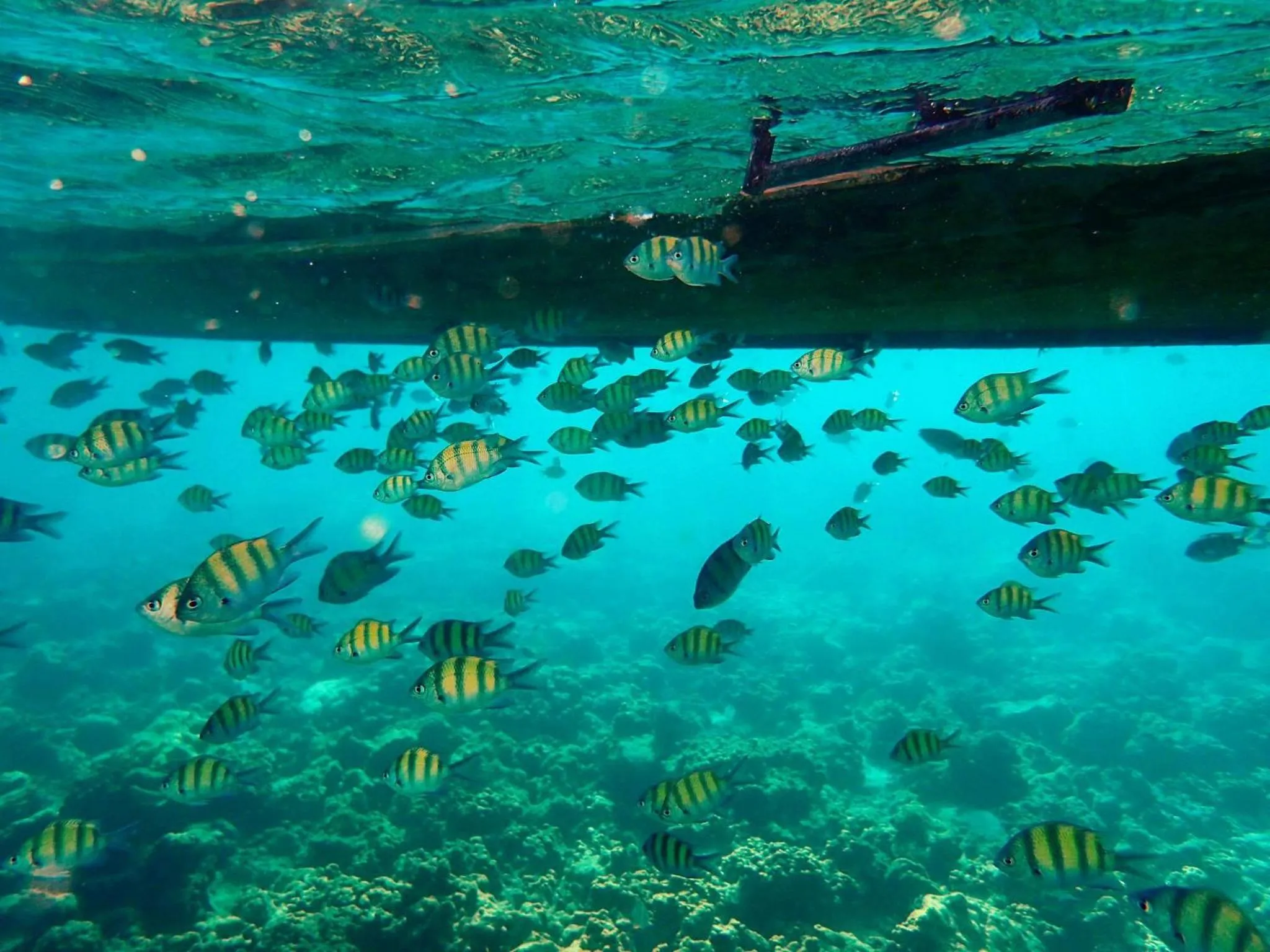 People in Kana Hotel Phuket普吉岛卡娜酒店