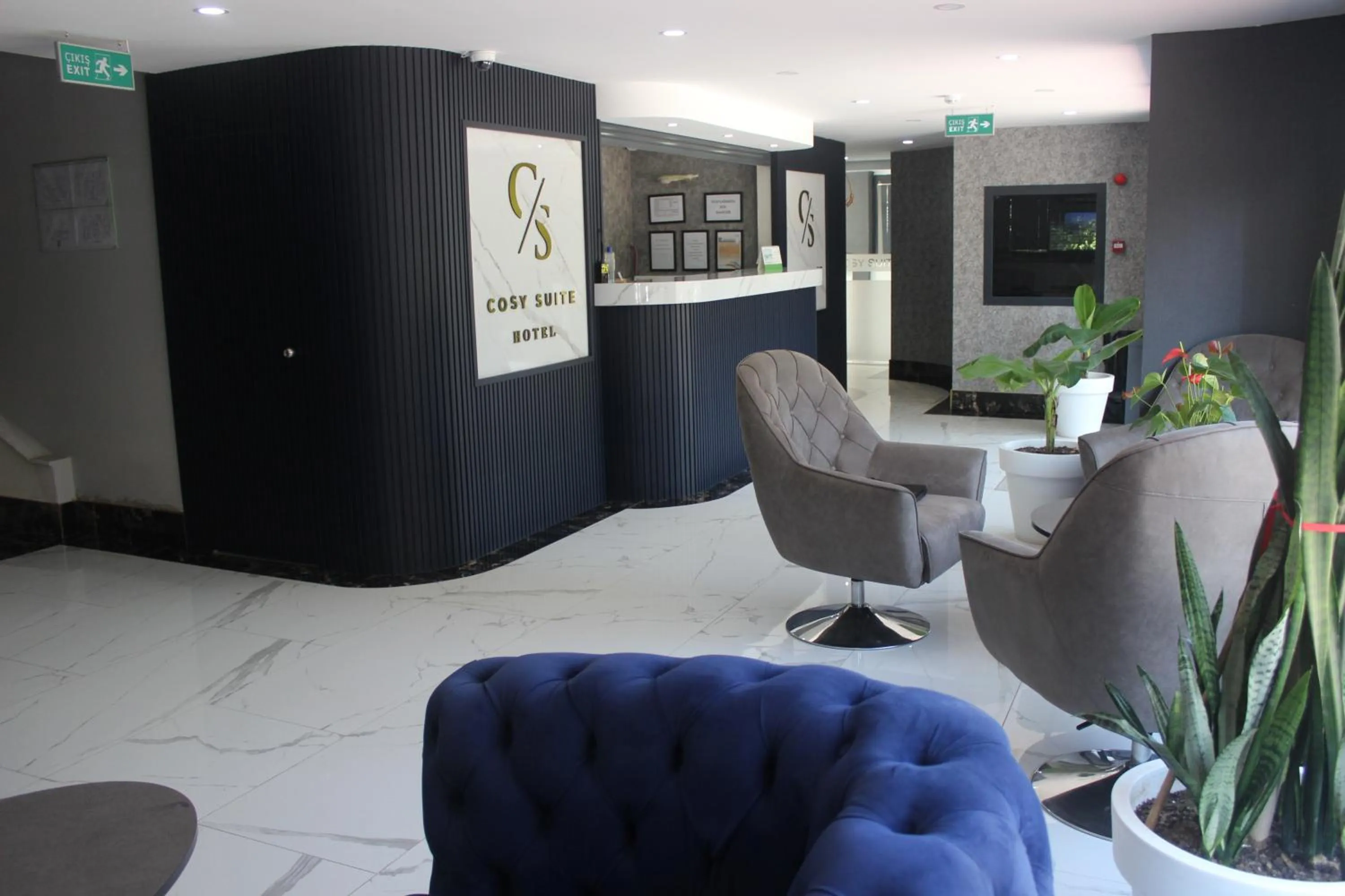 Property building in Cosy Suite