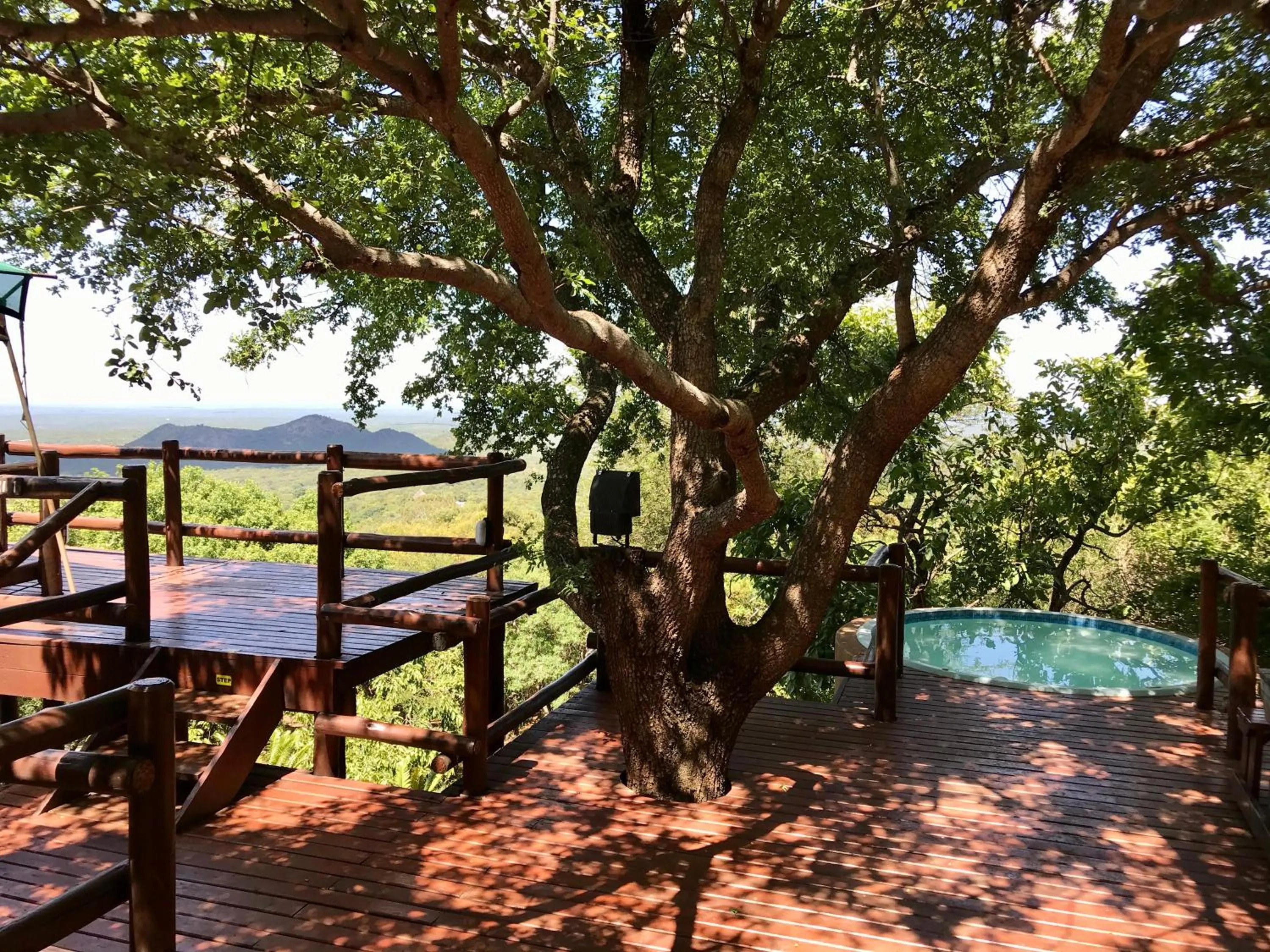 Swimming pool in Amafu Forest Lodge