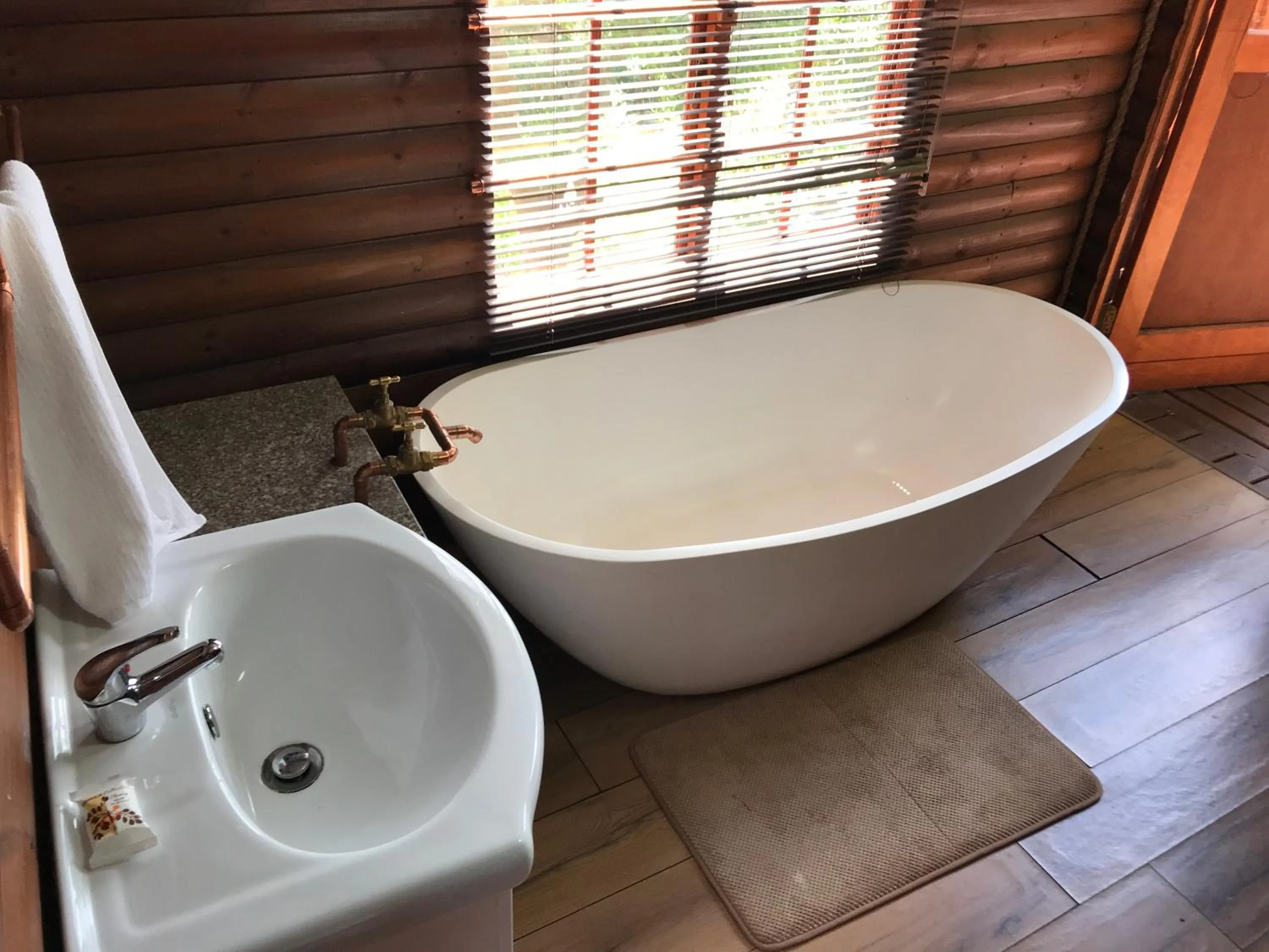 Bathroom in Amafu Forest Lodge