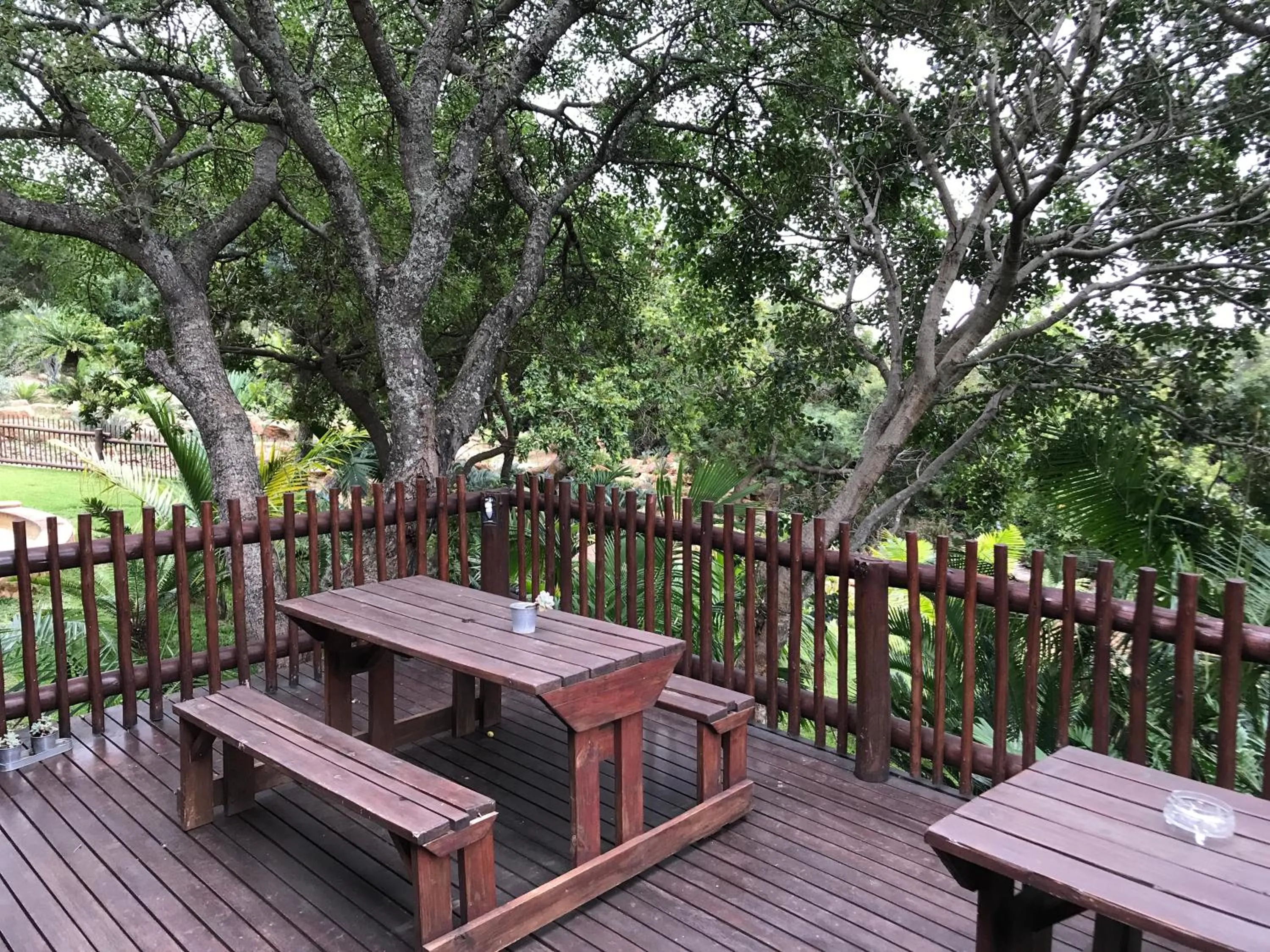 Balcony/Terrace in Amafu Forest Lodge