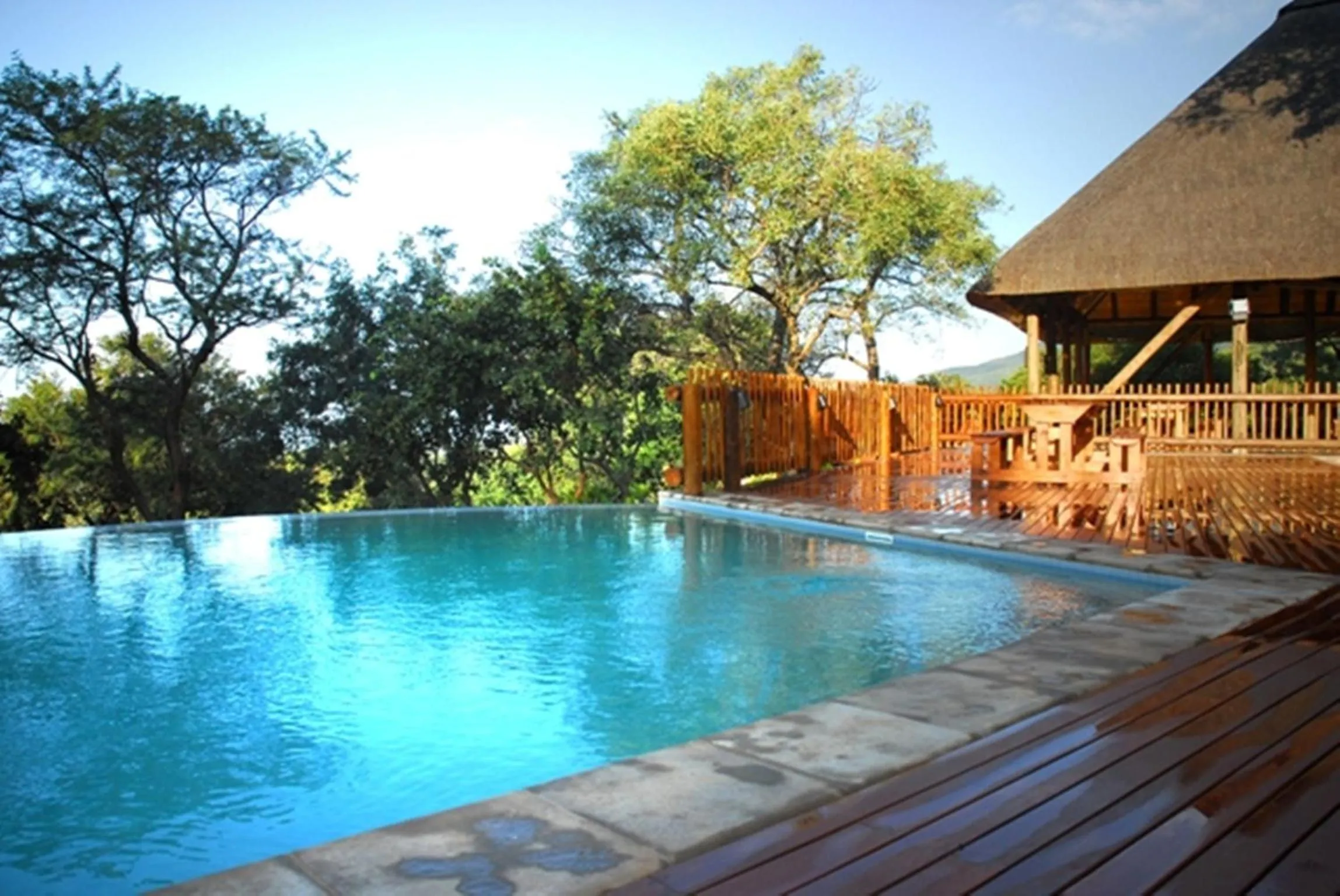 Other in Amafu Forest Lodge