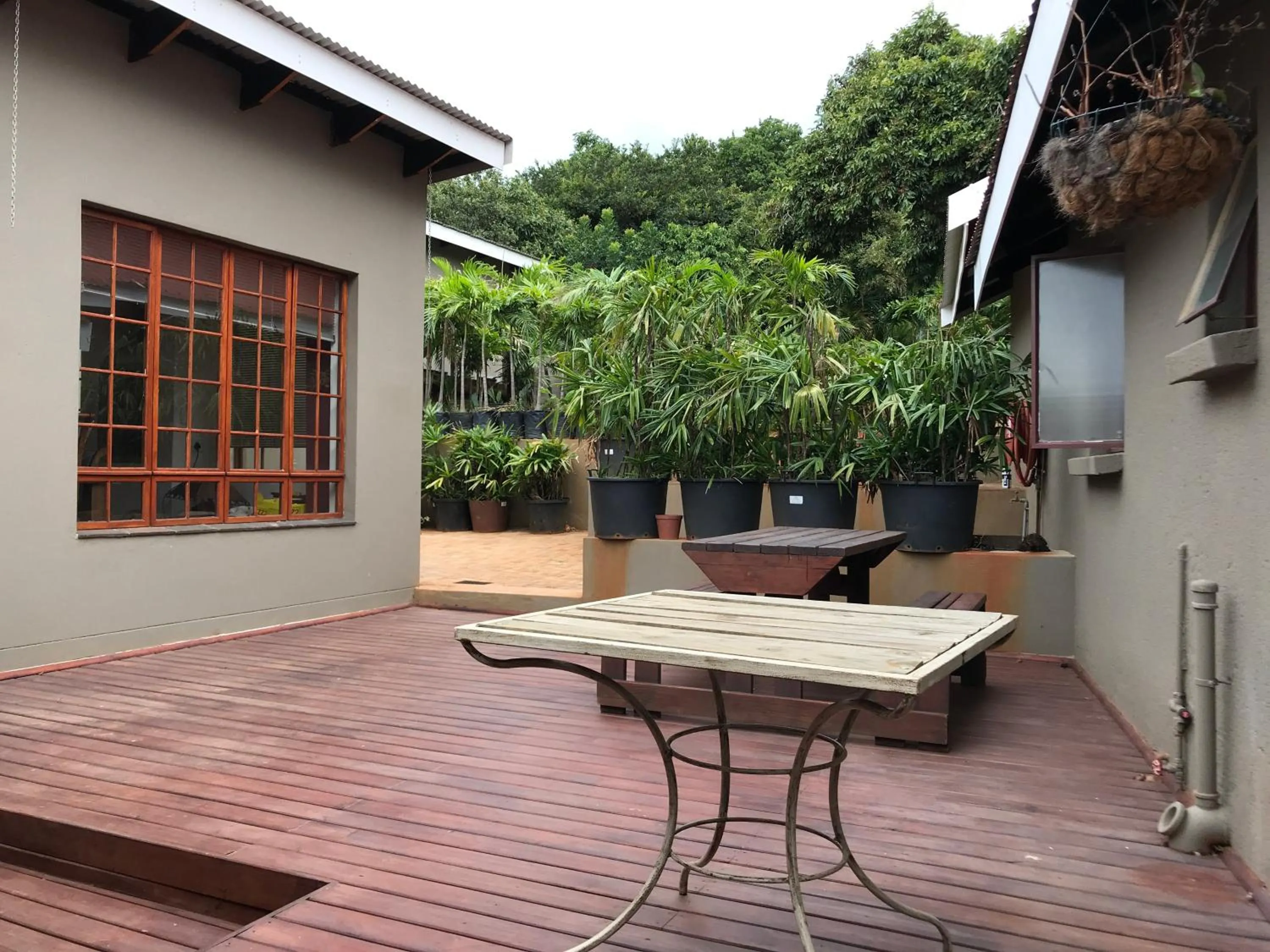 Patio in Amafu Forest Lodge