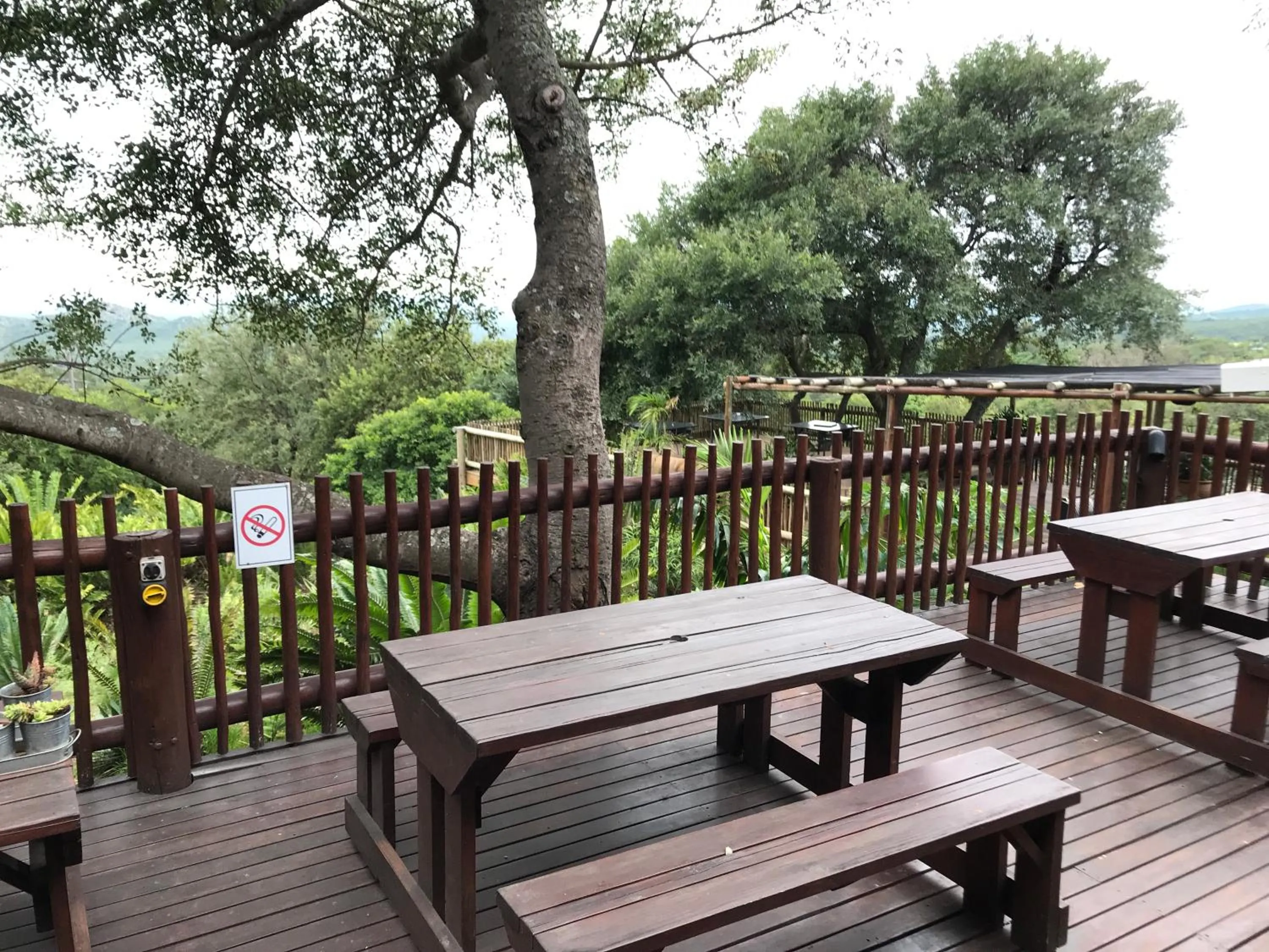 Balcony/Terrace in Amafu Forest Lodge