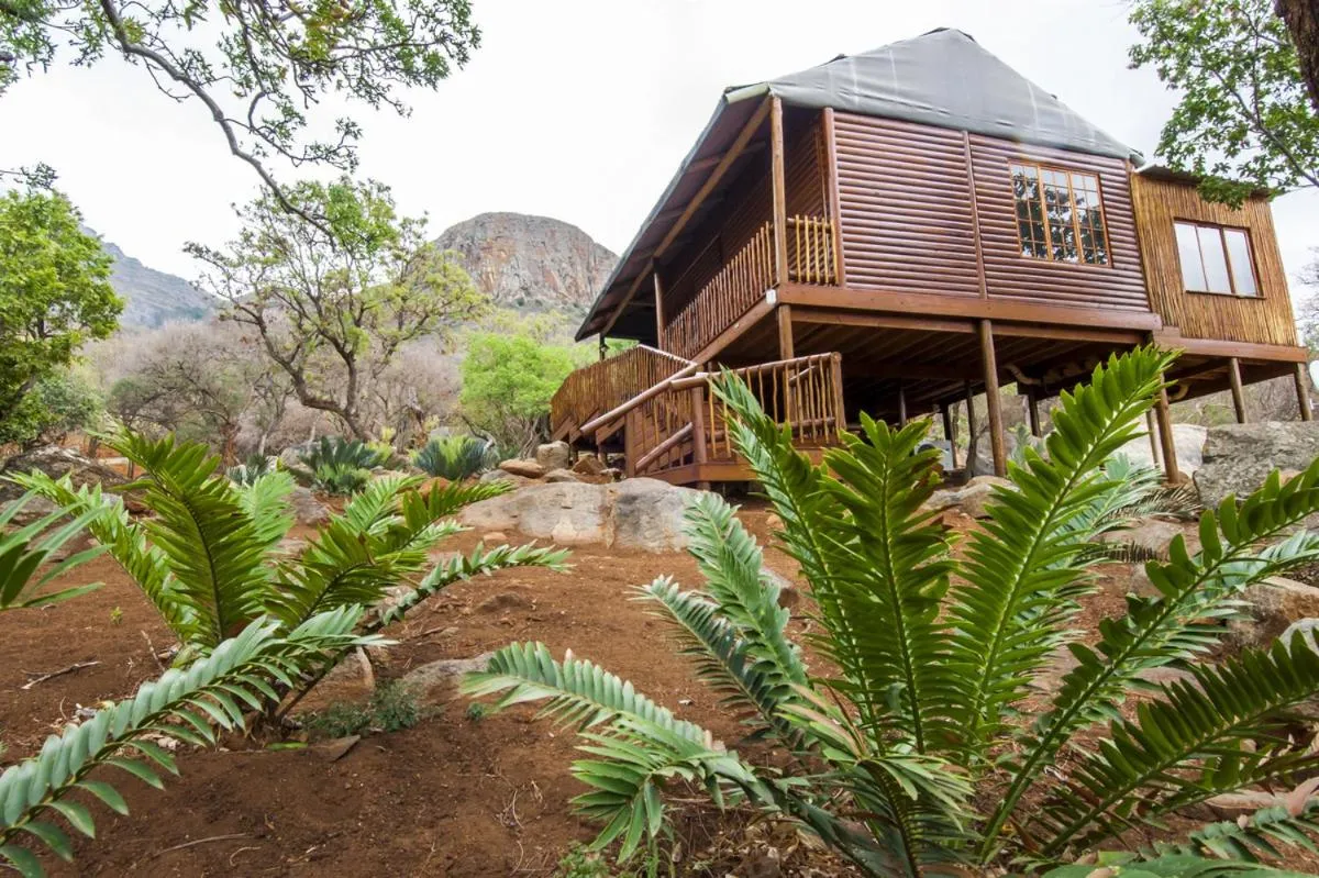 Natural landscape in Amafu Forest Lodge