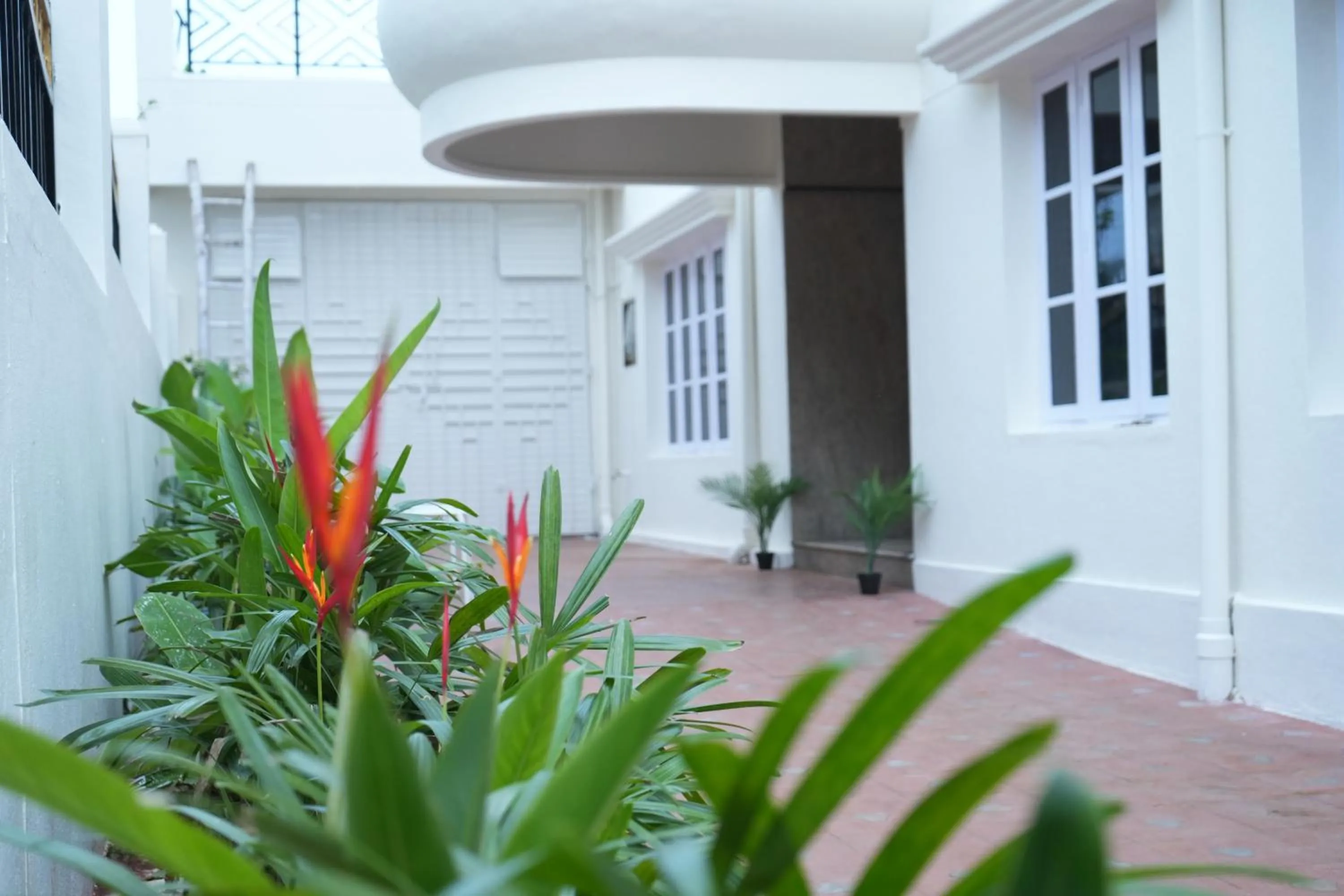 Property building in Palace Hostel by Borrbo