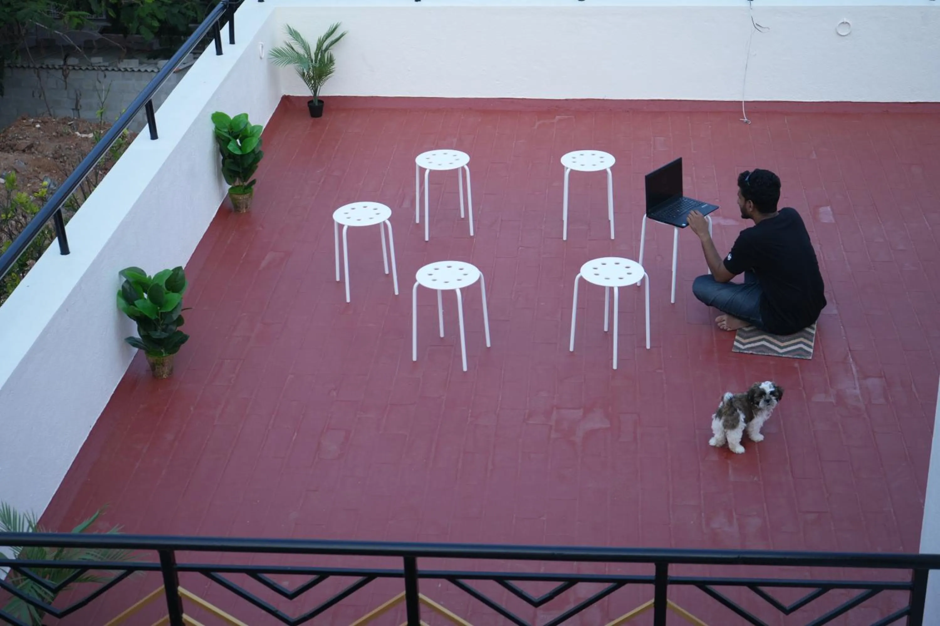 Balcony/Terrace in Palace Hostel by Borrbo