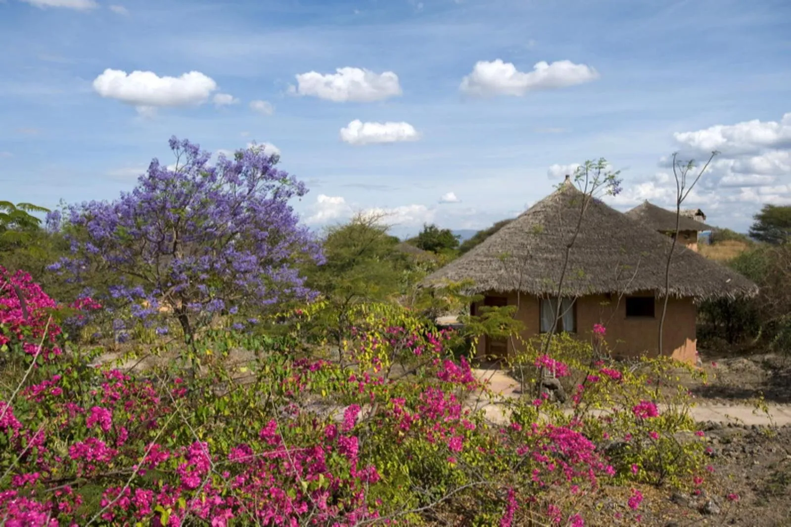 Property building in Kia Lodge