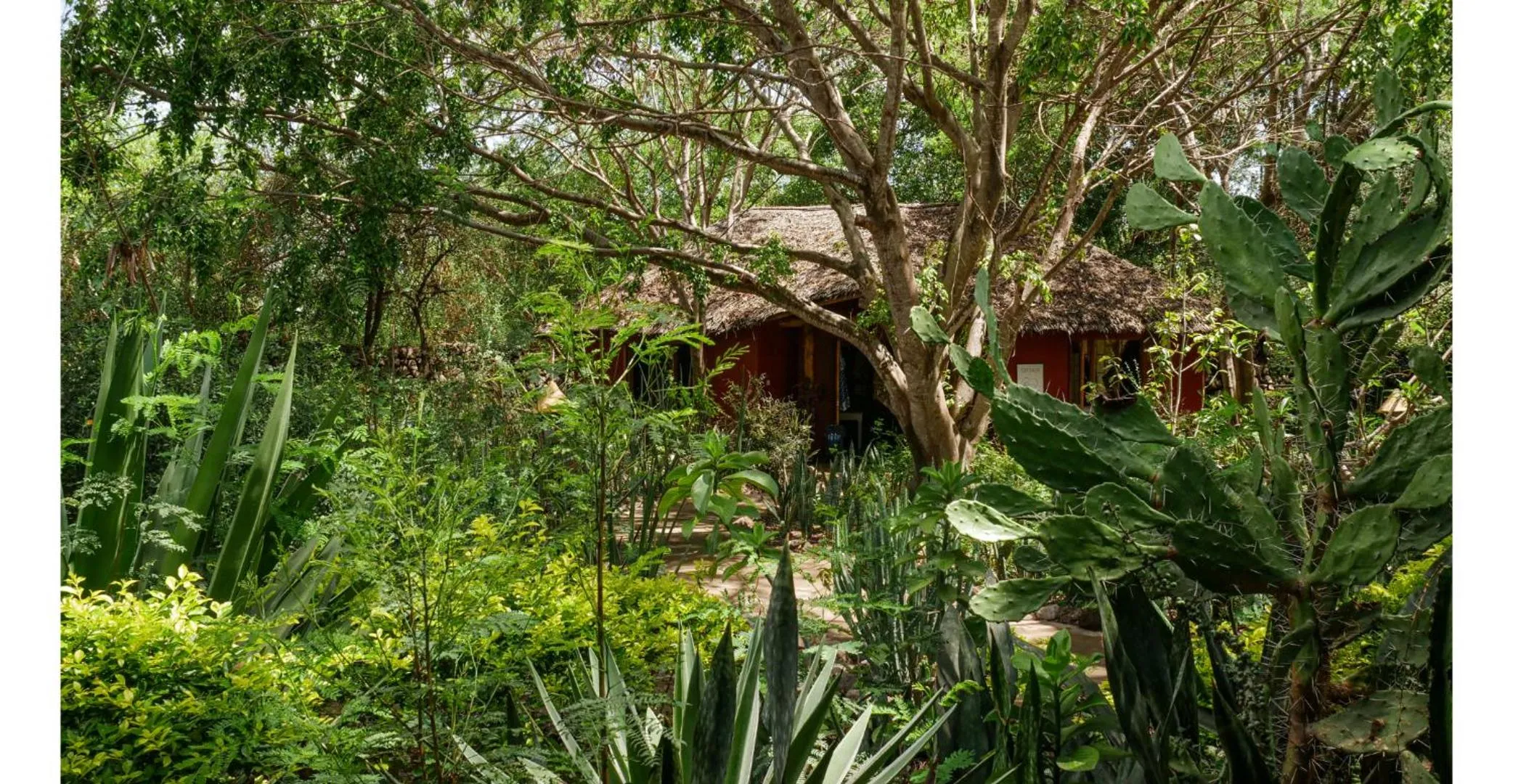 Garden in Kia Airport Lodge